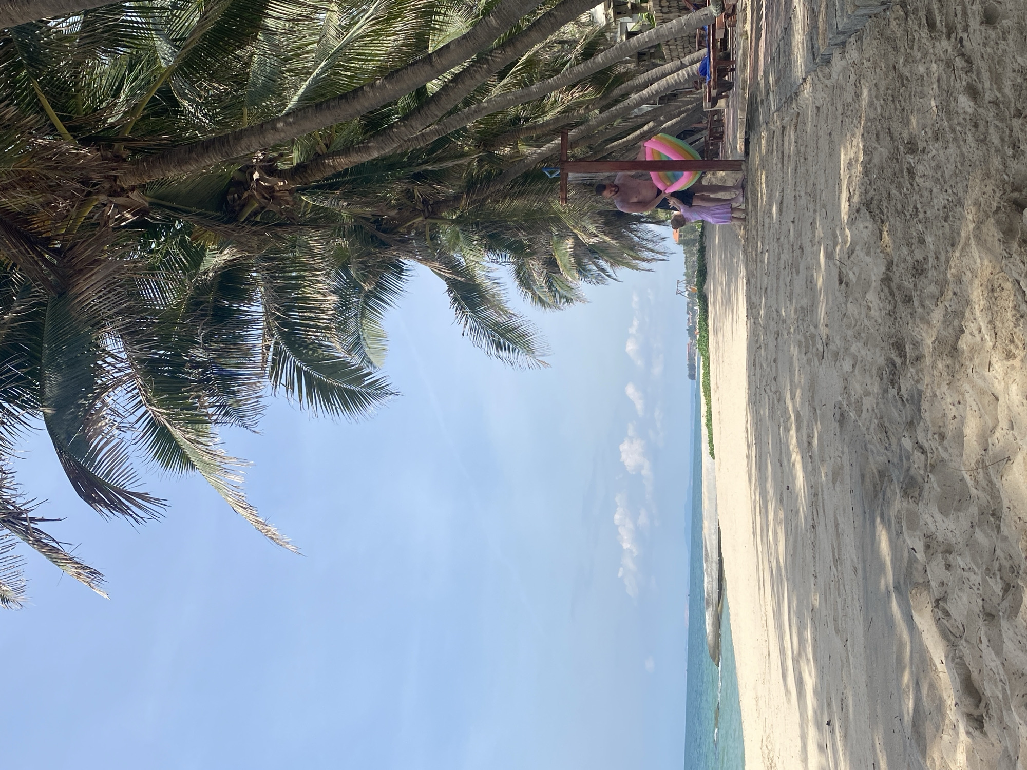 The image depicts a beach scene in Phu Thuy Ward, Vietnam. The frame is dominated by the fronds of palm trees, casting shadows on the sandy beach below. In the background, the ocean meets the clear blue sky, with a few scattered white clouds.
The subjects in the image include two people. One is a man, partially visible, wearing dark shorts, standing near a wooden structure. He appears to be interacting with a colorful inflatable object, possibly a float or a ring. Another person, dressed in a light purple garment, is also present and seems to be a child or a smaller individual. The overall atmosphere suggests a relaxed, leisurely day at the beach.
The time of day appears to be daytime, with bright sunlight illuminating the scene. The weather seems pleasant, with a clear sky and calm waters. The presence of palm trees and the sandy beach strongly indicate a tropical or subtropical coastal location, consistent with the provided location context of Phu Thuy Ward, Vietnam. No visible text is present in the image.