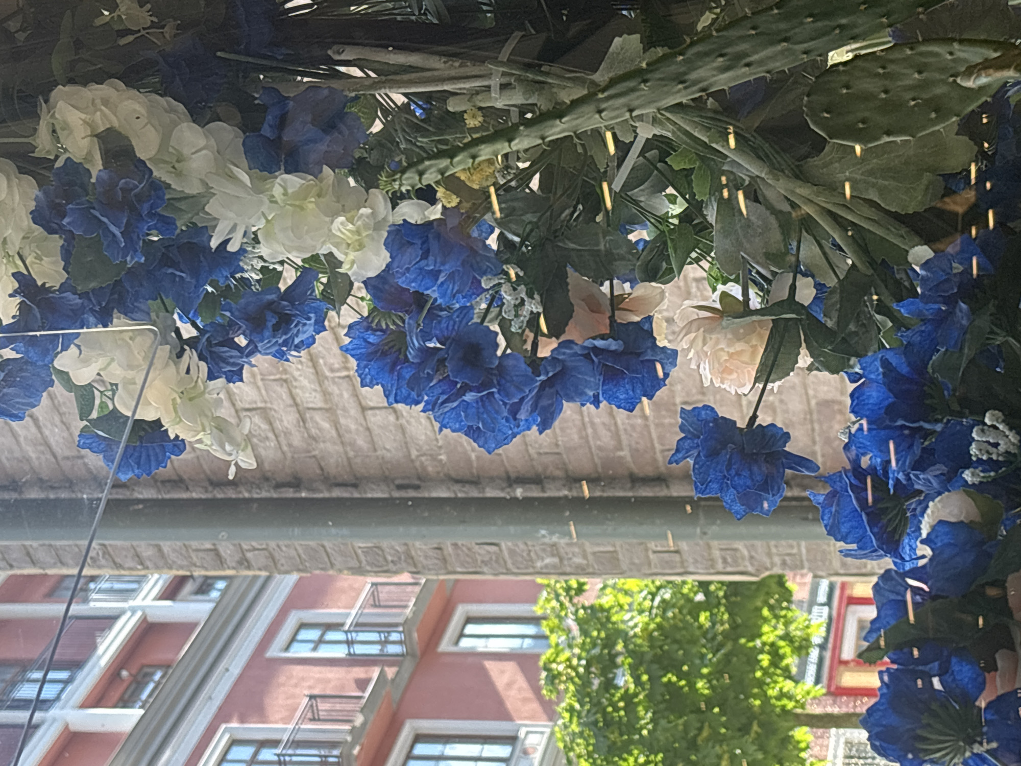 The image shows an overhead view of artificial blue and white flowers, along with prickly pear cactus pads and green foliage, arranged as a decorative display. The flowers and plants are clustered together and appear to be suspended from above. The background is a blurry reflection seen through a window, showing a red building with multiple windows and balconies, along with a vibrant green tree. The lighting suggests it is daytime, with sunlight casting shadows and highlights on the building and tree. The overall impression is one of an outdoor setting, possibly a street or a patio area, adorned with floral decorations. There is no visible text in the image.