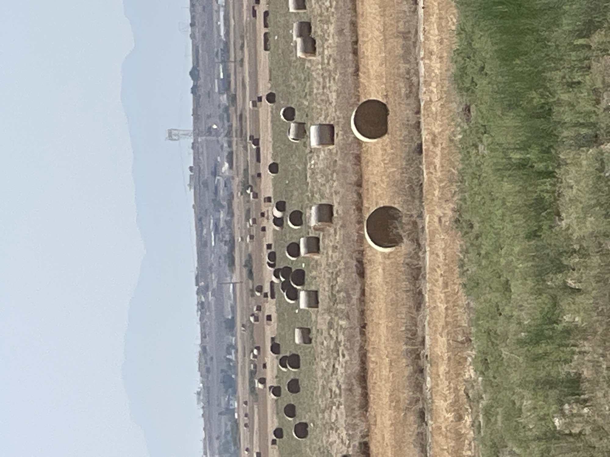 The image depicts a rural landscape with numerous round hay bales scattered across a field. The field appears to be divided into sections with harvested stubble in some areas and green vegetation in others. In the background, a hazy mountain range is visible, with a distant town or settlement and industrial structures, including a tall tower, on the horizon. The sky is overcast. This scene is consistent with agricultural land in or around Trikomo, Northern Cyprus, given the characteristic terrain and vegetation.