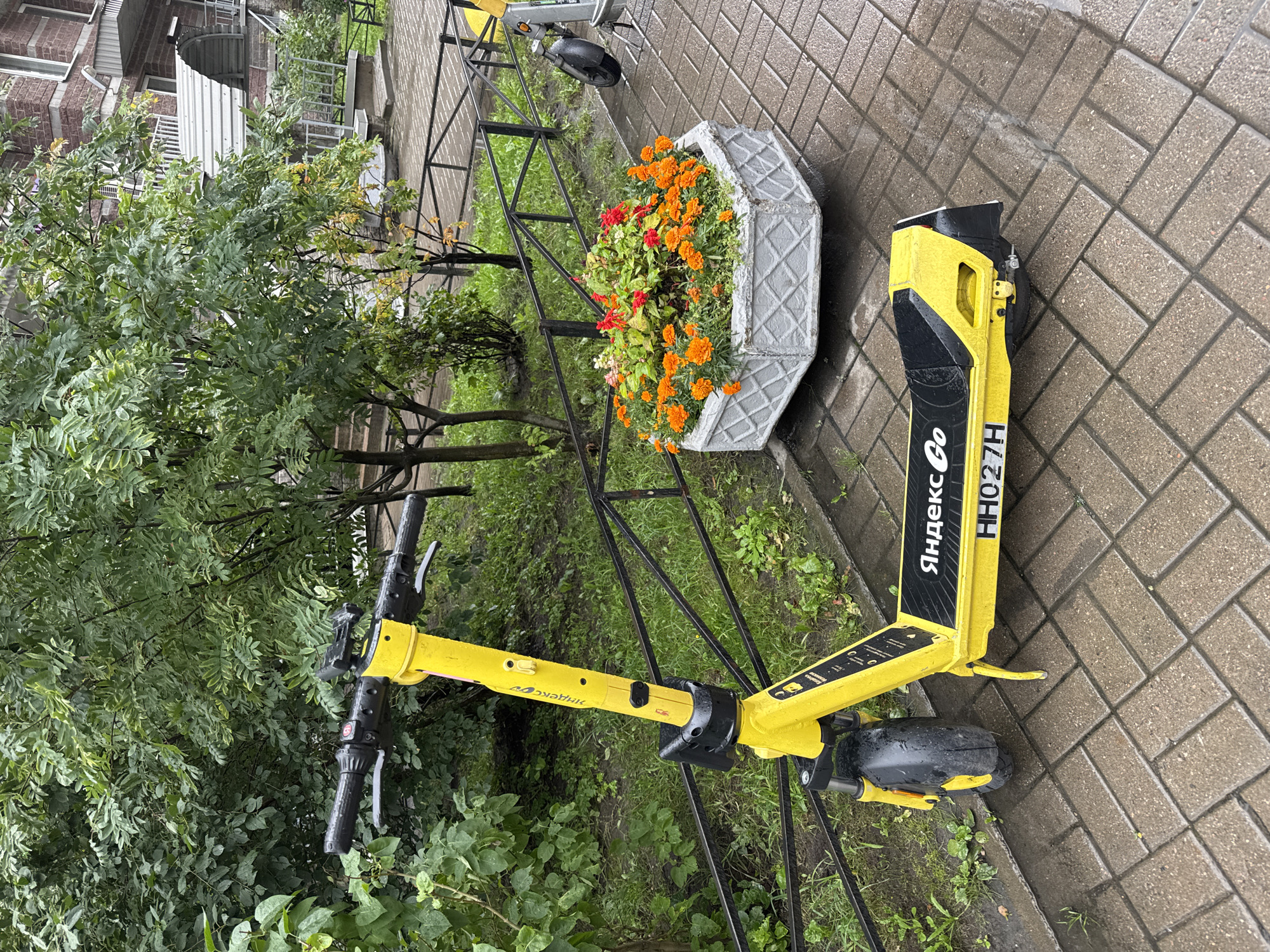 A bright yellow electric scooter, branded with "Яндекс Go" (Yandex Go), stands on a wet, brick-paved sidewalk. The scooter has the license plate "HH027H". Behind the scooter, a black metal fence separates the sidewalk from a patch of green grass and trees. Further back, a hexagonal concrete planter overflows with vibrant orange and red flowers. In the background, a multi-story building with brick and white siding is visible. The overall scene suggests an outdoor urban environment, likely during or after a rain shower, given the wet pavement and glistening leaves.