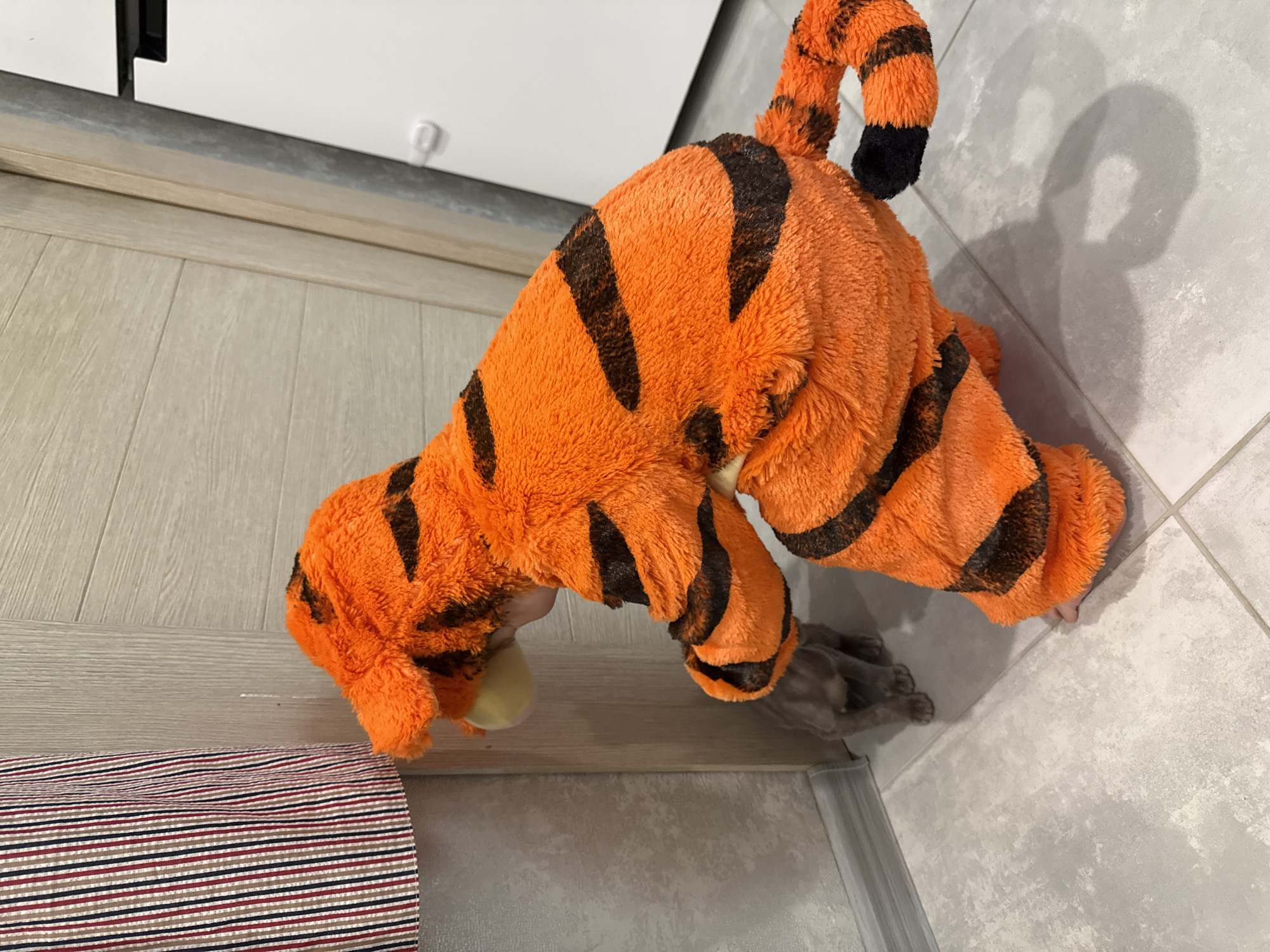 A child in a plush orange and black tiger costume is crouching down to interact with a small grey cat on a tiled floor. To the left of the frame, a portion of a vertical striped curtain in red, white, and dark blue is visible. Behind the child and the cat is a light-colored wooden doorframe. To the right, a portion of a white appliance, possibly a refrigerator or cabinet, is visible. The scene appears to be indoors, in a residential setting, with neutral-toned walls and floor tiles. There is no indication of the specific location within Moscow, Russia.