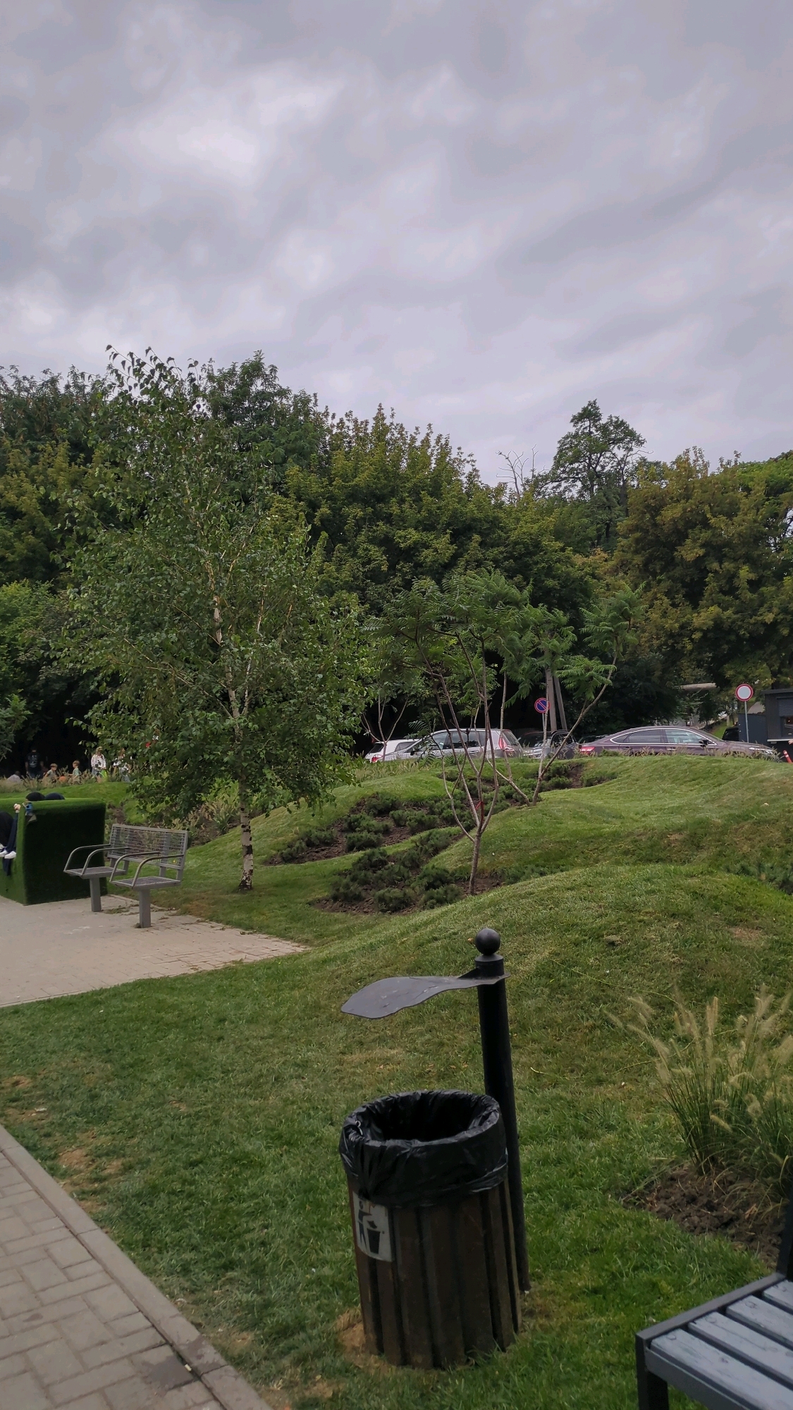 The image depicts a park-like setting with a paved walkway in the foreground. To the left of the walkway, there is a modern-looking bench with a green, textured backing. Beyond the bench, a young birch tree stands on a grassy incline. The incline is landscaped with several tiers of dark green, low-lying bushes. Further up the incline, a dark-colored trash receptacle with a black liner is visible. A thin, black metal pole with an abstract-shaped top extends from behind the trash can. In the middle ground, cars are parked on what appears to be a road or parking area. Behind the cars, a dense line of mature trees forms a backdrop. The sky is overcast with gray clouds. The overall impression is that of an urban park on a cloudy day.