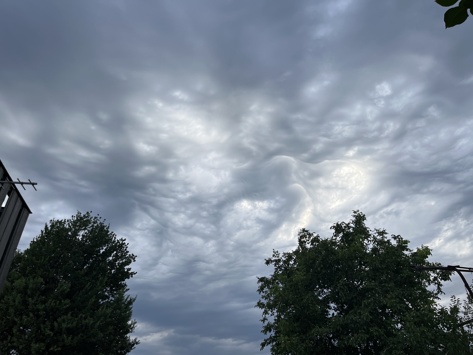 The image shows a cloudy sky with dramatic mammatus clouds. Two large trees, one on the left and one on the right, are visible in the foreground. A portion of a dark-colored building with an antenna is on the far left of the image. The sky is overcast with a grey, textured appearance, and some brighter areas suggest light breaking through the clouds. The trees are full of dark green leaves. The image appears to have been taken outdoors in a somewhat urban or suburban setting given the presence of the building. The location is specified as Krasnyye Barrikady, Russia.