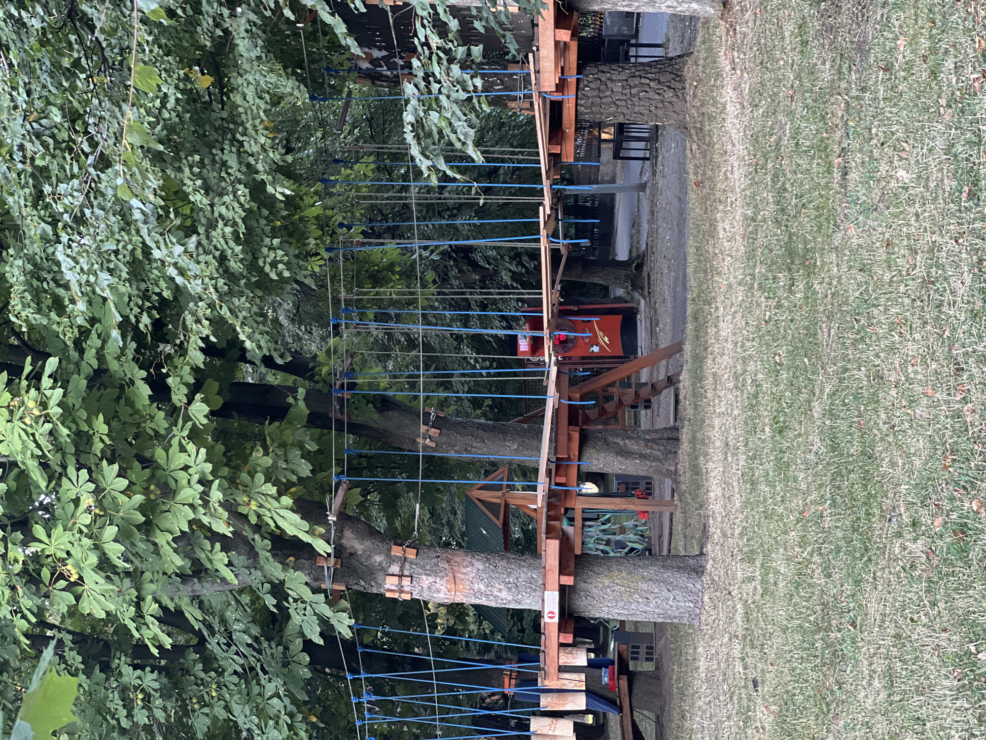 A rope bridge course is set up between trees in an outdoor park. The course consists of wooden platforms suspended at varying heights and connected by rope bridges. Blue ropes are visible supporting the wooden structures. The surrounding area is grassy with several large trees providing shade. In the background, there is a red structure with some lettering and a green-roofed building. The image appears to be taken during the day in a temperate climate.