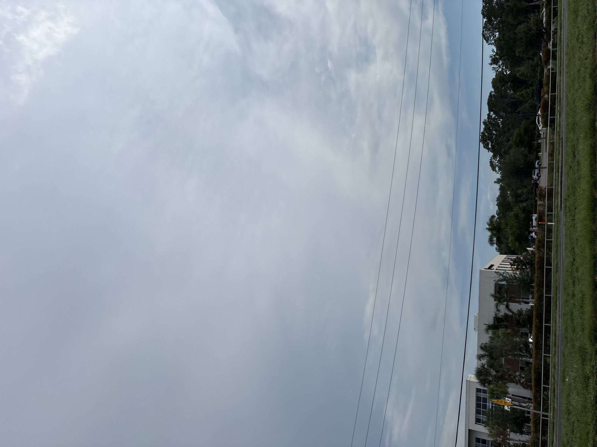 The image shows a white building with large windows, a manicured hedge, and palm trees in front of it. There are power lines stretched across the scene. Beyond the building, a line of trees is visible. The sky is overcast with scattered clouds. The scene appears to be in a commercial or office park area, possibly in the city of Bradenton, United States, given the type of vegetation and architecture. There are several cars parked in front of the building. No people are visible in the image. The foreground shows a grassy area.