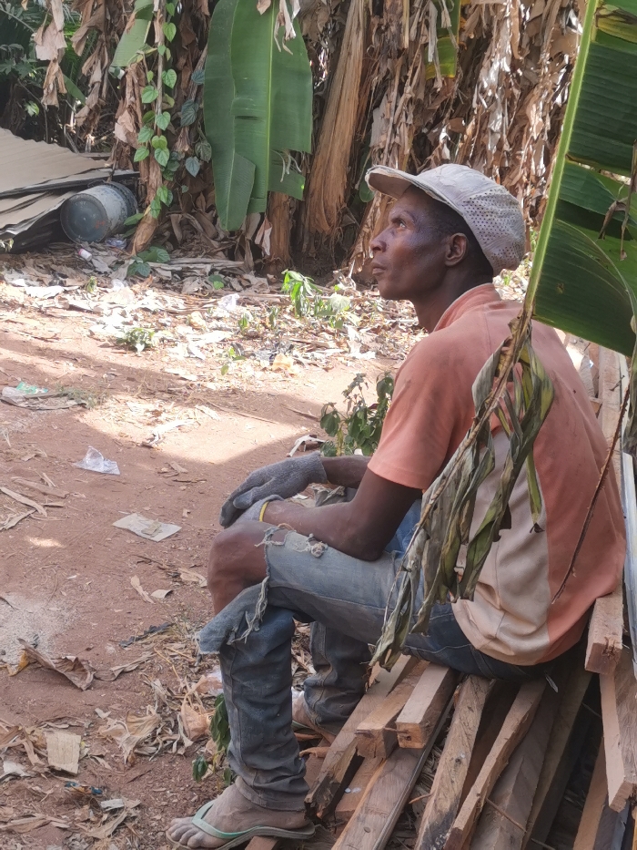 The image depicts an adult male seated outdoors in Agbor, Nigeria. The subject, who is dark-skinned, wears a light-colored, perforated baseball cap, an orange and beige short-sleeved polo shirt, heavily distressed blue denim jeans, grey fingerless gloves, and light green flip-flops. A yellow wristband is visible on his right wrist. He is positioned facing left, gazing upwards and to his left, with both arms resting on his thighs. He is seated upon a stack of raw, uneven wooden planks. The immediate ground consists of reddish-brown earth, littered with various debris including plastic bags, paper scraps, and dry leaves. In the background, dense tropical foliage, primarily composed of large green and dried brown banana or plantain leaves, along with other small green plants and vines, is visible. To the left of the seated man, a dented, dark metal barrel lies on its side next to a stack of light-colored sheet material. A partially withered banana leaf partially obscures the bottom right foreground. The scene is illuminated by natural daylight, indicating an outdoor setting.
