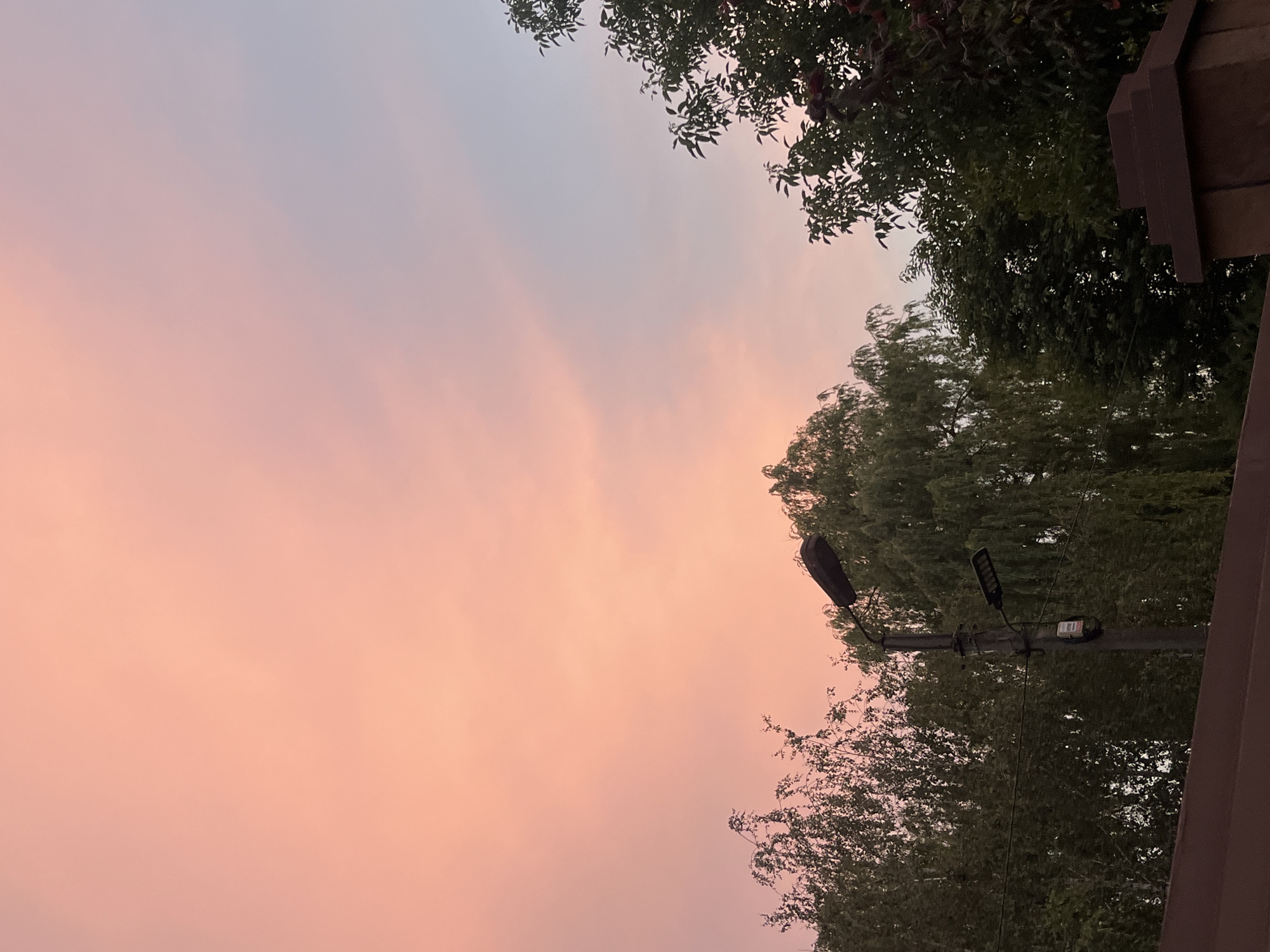 The image depicts a serene sunset over Koroviia, Ukraine. The sky is awash in soft hues of pink and orange, transitioning into a pale blue on the right side. Silhouetted against this vibrant sky are the lush green canopies of various trees, including what appears to be a weeping willow on the left and a denser foliage of deciduous trees on the right. A lamppost with two lights stands prominently in the center-left of the frame, its dark structure contrasting with the colorful sky. Below the trees, a dark brown fence or wall runs horizontally across the bottom of the image, with a section of a brick structure visible on the far right. The scene is devoid of human presence, presenting a peaceful, naturalistic view of an urban twilight.