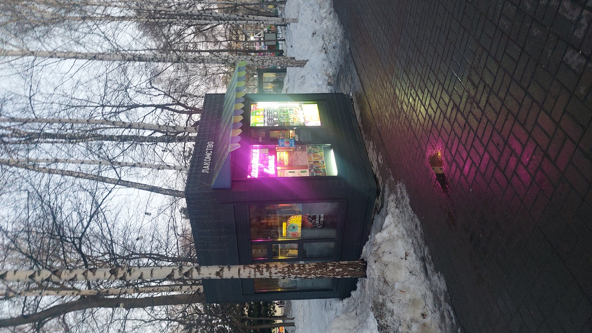A kiosk displaying the word "ЛАКОМСТВО" stands on a paved path adjacent to birch trees in a snowy area of Novosibirsk, Russia. The kiosk has a striped awning and a bright interior. A pink neon sign is visible on the kiosk. The path is wet and reflects the pink light. Snow lines the edge of the path. Bare birch trees are visible in the background.