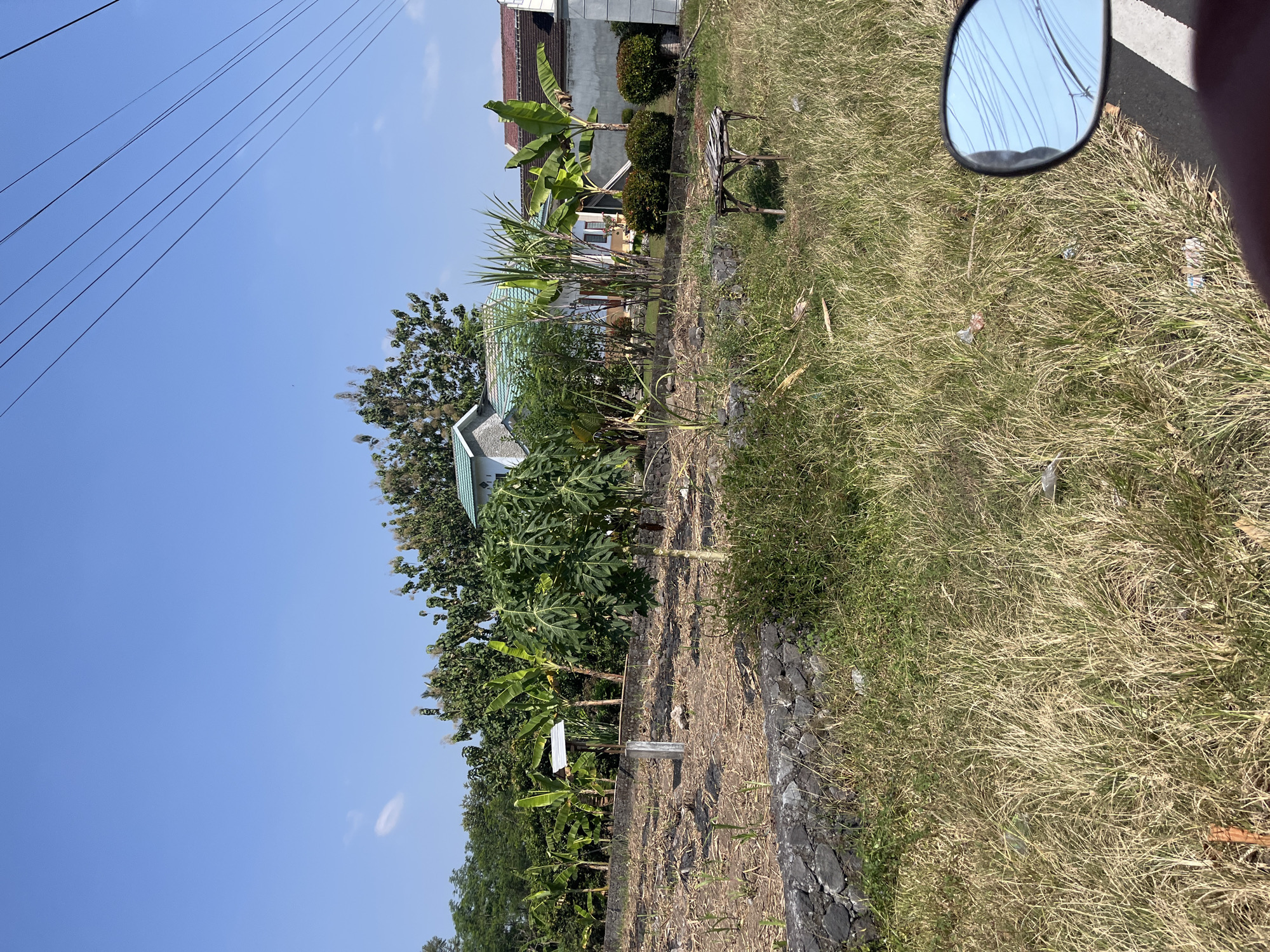The image depicts an outdoor scene in Purworejo, Indonesia, under a clear blue sky with visible power lines overhead. The foreground is dominated by dry, tall grass. In the midground, there is a low stone wall separating a patch of dry, cleared land with some sparse vegetation and scattered debris from a more overgrown area. A single, small wooden table with a damaged surface sits in the grass to the right of this cleared area. Behind the cleared land, there are several banana trees and a papaya tree. Further in the background, two houses are visible. One house has a light-colored facade and a green-tiled roof, with a prominent grey stone or concrete chimney-like structure. The other house to the right has a white facade and a red-tiled roof. The overall impression is a semi-developed or rural area with signs of vegetation and residential structures.