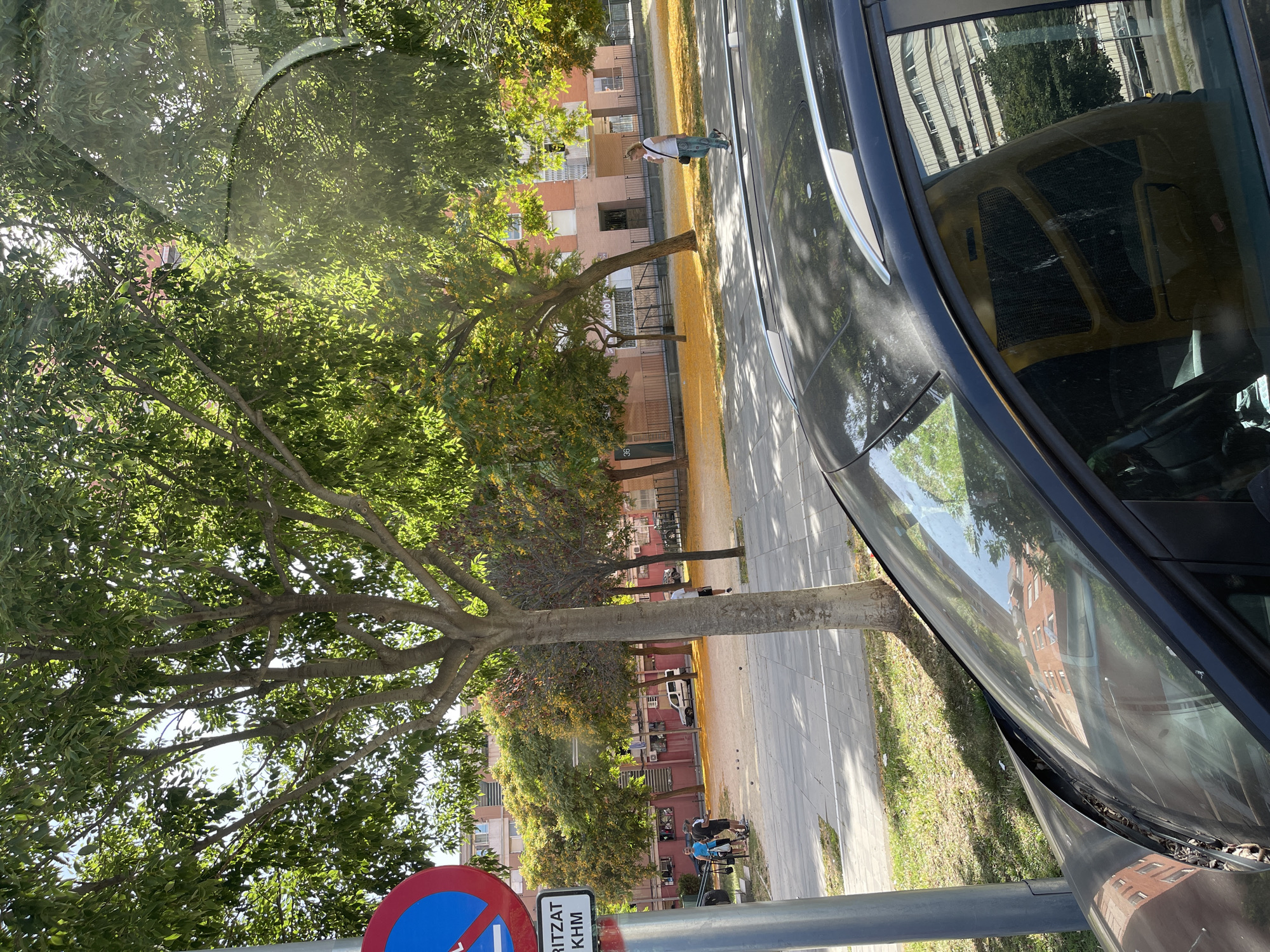 The image captures a sun-drenched urban scene in Sant Adrià de Besòs, Spain, likely during the daytime given the strong shadows. In the foreground, the roof and windshield of a dark-colored car are visible, reflecting the surrounding environment, including trees and buildings. A portion of the car's interior, featuring a steering wheel and dashboard, is also discernible through the windshield.
To the left, a blue and red circular traffic sign with a white horizontal bar is mounted on a pole, accompanied by a rectangular white sign with text that appears to read "RITZAT KHM" in black lettering. Beyond the car, a paved area resembling a sidewalk or plaza is visible, bordered by a grassy strip. Several trees with dense green foliage are scattered throughout the scene, casting dappled shadows on the ground.
In the middle ground, a group of four individuals are gathered, appearing to be engaged in a game of pétanque, with several balls on the ground. Another individual, a woman, is walking across the paved area in the background. Behind them, buildings with a predominantly pinkish-red facade are situated, with some featuring balconies. A white van is parked in front of one of the buildings. The ground in the mid-ground and background is covered with a significant amount of yellow fallen leaves, suggesting a seasonal event, likely autumn. The overall atmosphere is calm and typical of a residential urban environment on a bright day.