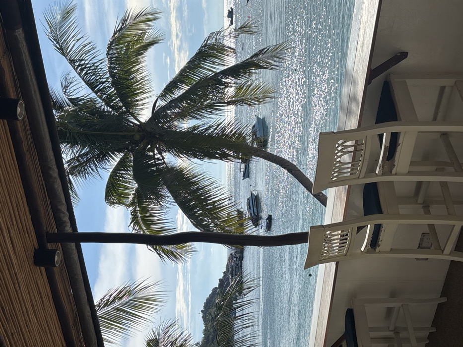 The image displays a tropical coastal scene from an elevated vantage point, likely a bar or restaurant overlooking a bay in Koh Tao, Thailand. In the immediate foreground, two white wooden bar stools with dark blue seat cushions are positioned at a light-colored wooden bar counter, facing the water. The stool on the right shows chipped paint on its seat back and legs. Overhead, the underside of a thatched or woven bamboo ceiling is visible, supported by a dark wooden beam from which two black cylindrical light fixtures extend.
The midground features a calm, sparkling blue ocean reflecting sunlight, extending to a bright blue sky with scattered white clouds. Several boats are anchored across the bay, including at least two white speedboats/yachts, a smaller dark boat, and a larger, multi-deck vessel further left near a distant, vegetated landmass. Two prominent palm trees frame the view, with one tall, slender trunk positioned centrally and another curving distinctly to the right, their green fronds extending across the upper and middle sections of the frame. No individuals are visible in the scene.