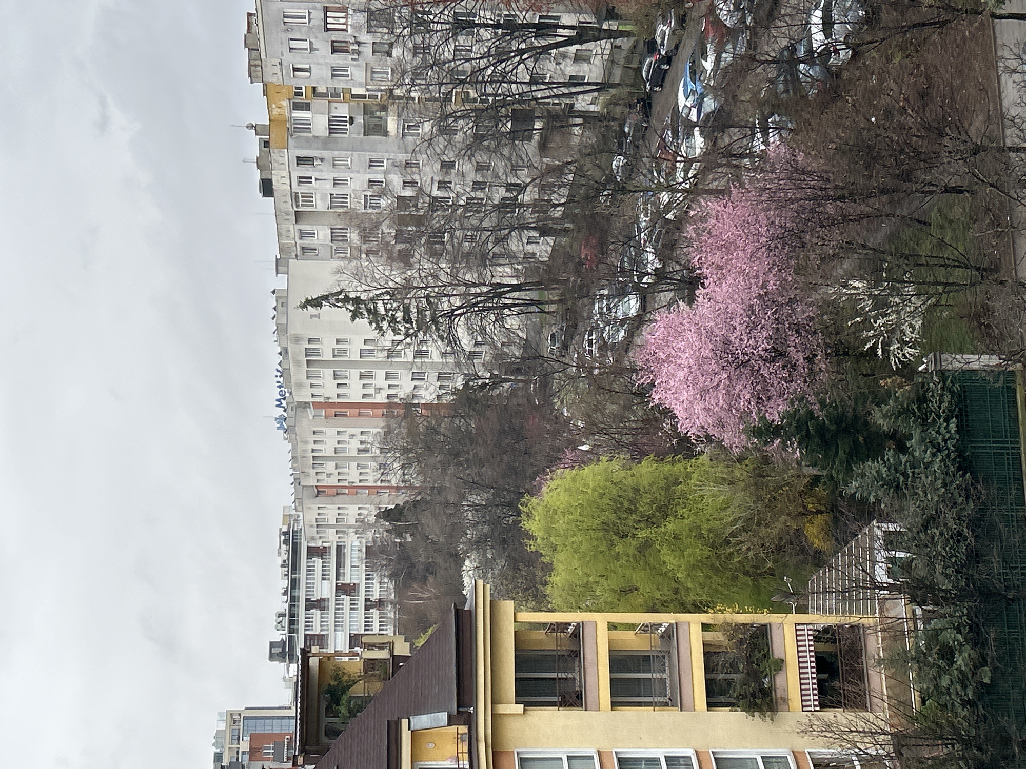 The image depicts an urban landscape likely in Sofia, Bulgaria, characterized by a mix of residential buildings and trees. A large, multi-story apartment building with predominantly white and gray facades occupies the background. Parked cars are visible behind the trees, suggesting a street. In the foreground, lower-rise buildings with yellow and brown facades stand closer to the viewer. Trees are prominent, displaying various stages of foliage, including bare branches, vibrant green leaves, and pink blossoms. The sky is overcast and grey.