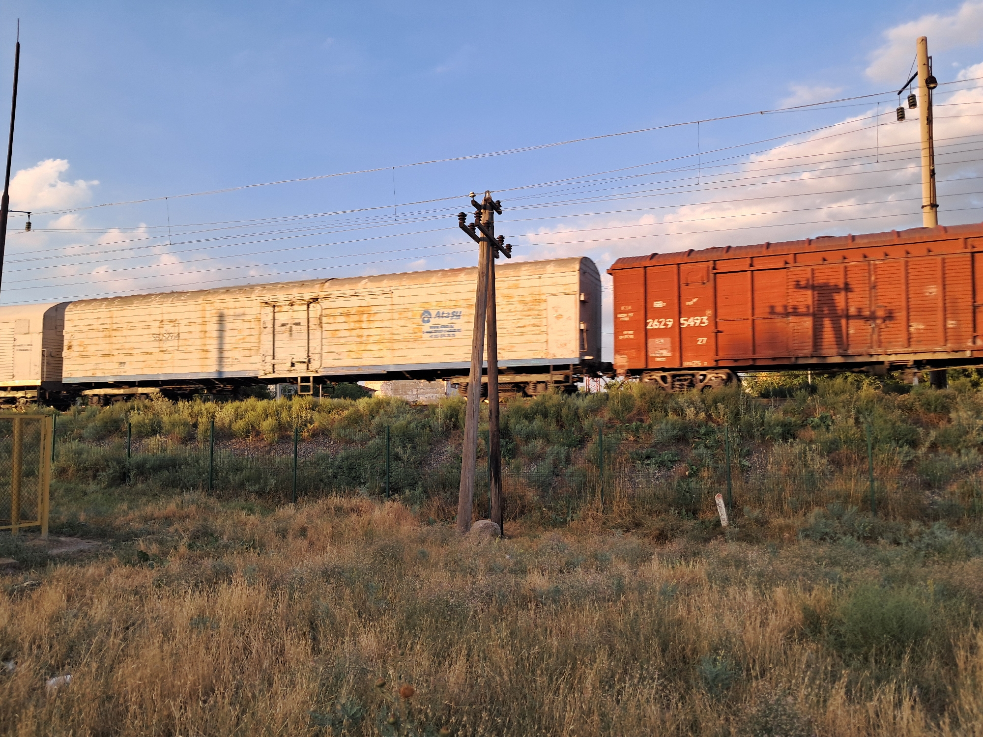 This media file depicts a freight train moving through a rural landscape. The train consists of two distinct types of railcars: a longer, lighter-colored boxcar on the left and a shorter, reddish-brown gondola car on the right. The boxcar has some visible rust and markings, including the text "Atasu" in blue. The gondola car has numerical markings, "2629 5493" and "27".
The scene is set against a backdrop of a clear blue sky with scattered white clouds. Overhead power lines for the train are visible, supported by wooden poles. One pole, positioned between the two cars, has insulators and hanging electrical components. The ground in front of the train is covered with dry, tall grass and various green bushes, suggesting a dry climate and possibly a rural or undeveloped area. A green metal fence runs along the embankment behind the grass. A yellow metal structure, possibly a gate or part of a fence, is visible on the far left.
The lighting suggests it is late afternoon or early evening, with the sun casting long shadows and illuminating the scene with a warm, golden light. The overall impression is one of movement and industrial transport within a natural setting. The location context is Shymkent, Kazakhstan.