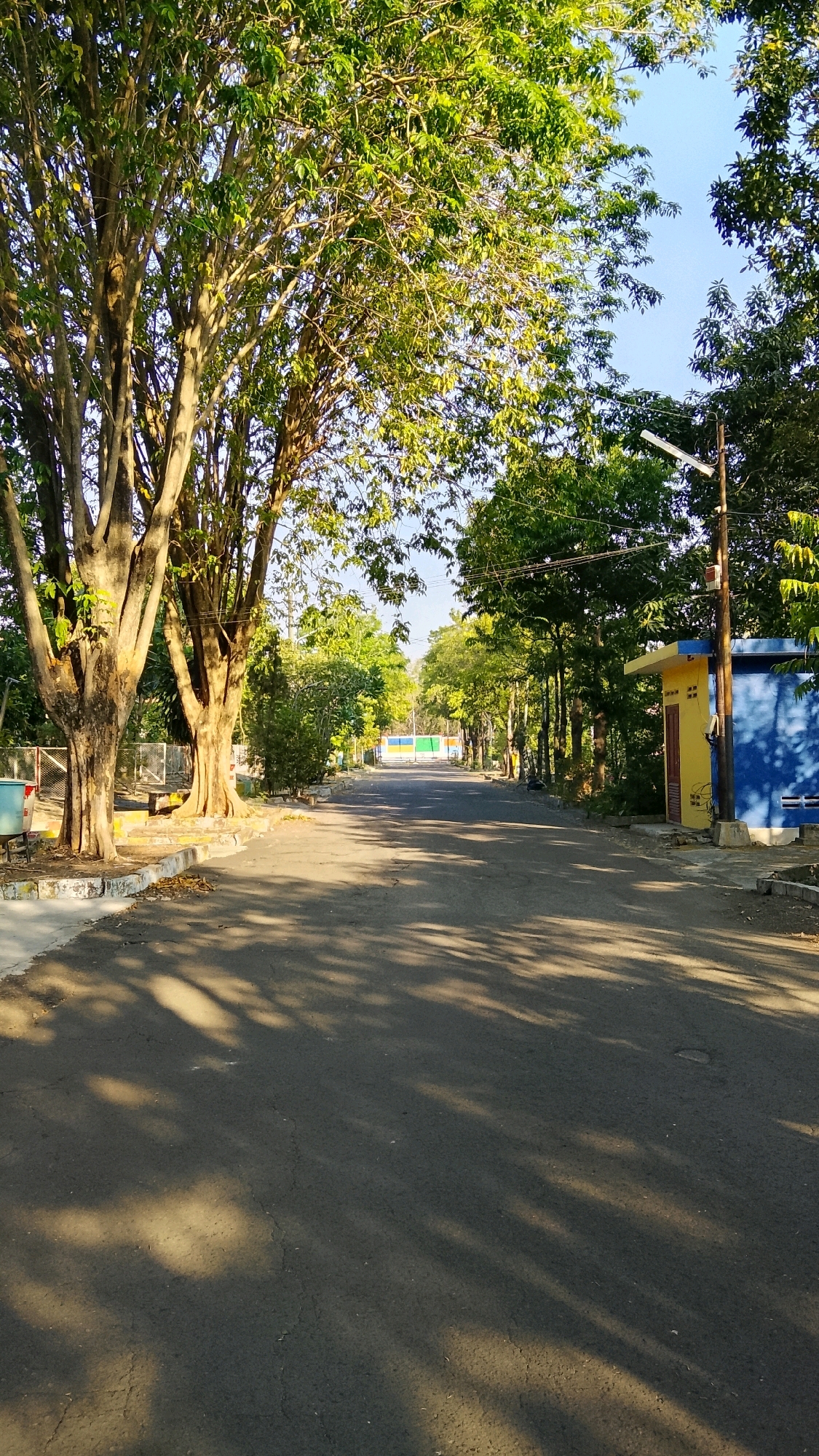 The image depicts an asphalt road lined with trees on both sides, suggesting a quiet, possibly suburban or park-like setting. The road stretches into the distance, leading towards a colorful barrier or fence. The lighting indicates it is either early morning or late afternoon, with long shadows cast across the road by the trees. On the right side of the road, there is a small building with blue and yellow walls. The overall impression is one of a peaceful, tree-lined avenue within the city of Tlogobendung, Indonesia.