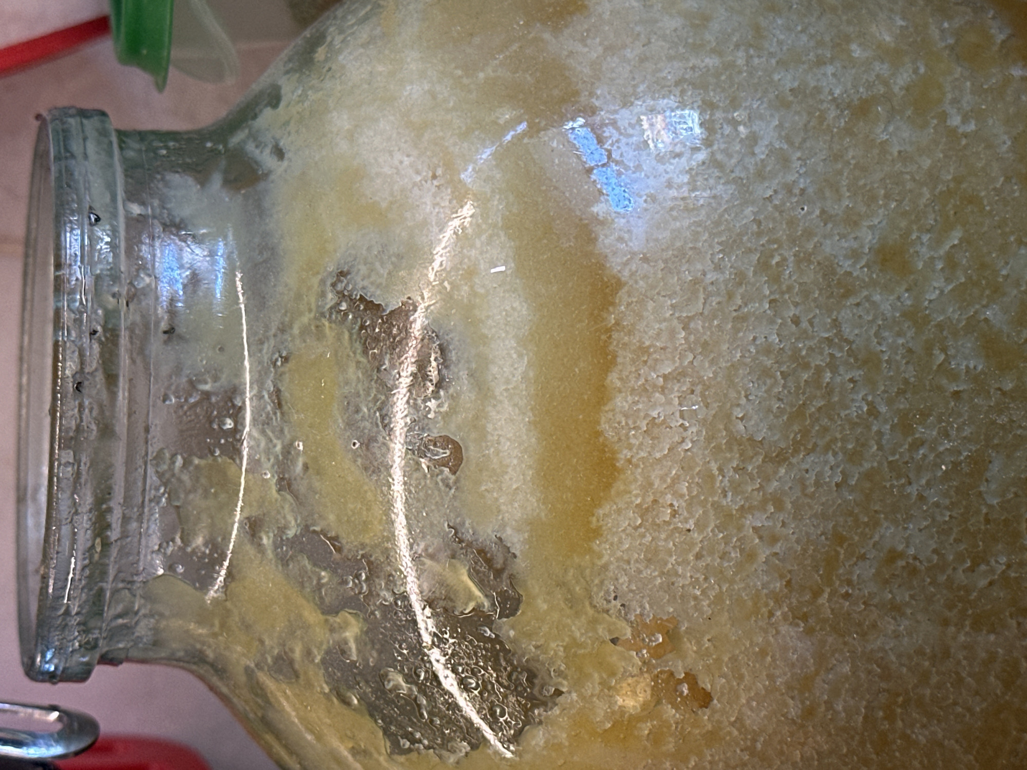 The image is a close-up, overhead shot of the contents of a glass jar. The jar appears to be a fermenting vessel, with layers of sediment and liquid visible. The contents are a murky yellow-brown color, with some areas appearing foamy or solidified. There are also dark, irregular-shaped pieces floating in the liquid. The glass jar has a metal clasp and hinge on the left side, and a green lid is partially visible on the right side of the frame. The background is blurred, but suggests an indoor setting with some red and pink elements. The image does not provide any information about the city of Nevinnomyssk, Russia.