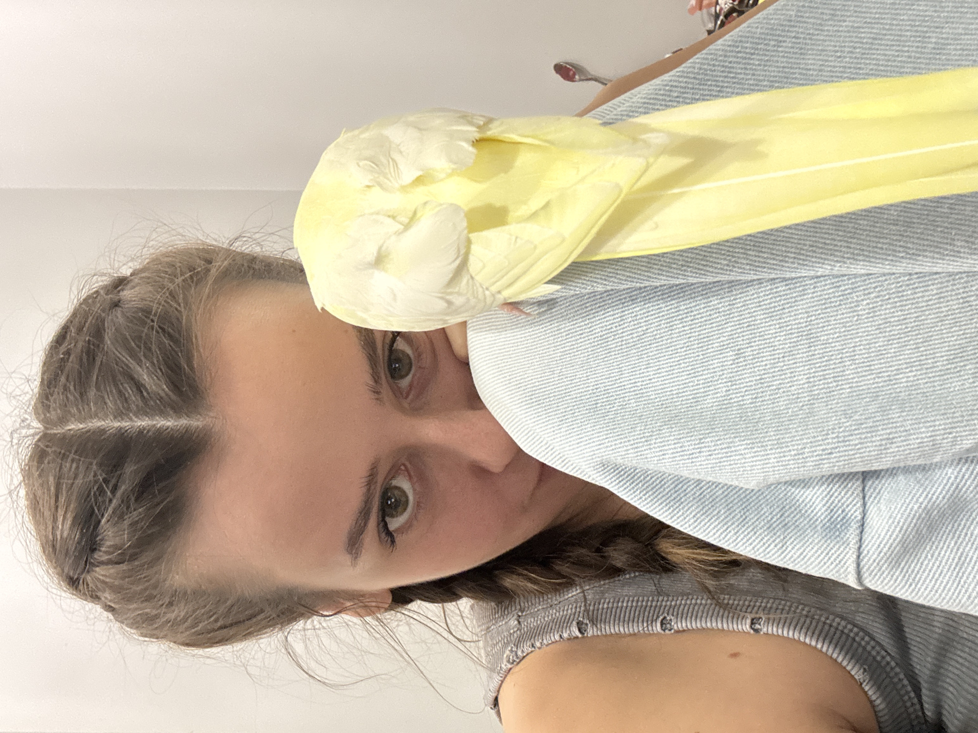 This sideways-oriented image captures a young woman with a bird indoors. The woman, positioned on the left of the frame, has light brown hair styled in braids and looks directly at the camera with a neutral gaze. She is wearing a grey, ribbed sleeveless top, and a light blue, denim-like fabric is draped over her shoulder and arm, possibly a jacket or a blanket.
Perched on the light blue fabric, near the woman's head and shoulder, is a small, light yellow and creamy white bird, appearing to be a cockatiel or parakeet. The bird has its head turned back towards its body, suggesting it is either preening or resting. The background consists of a plain white wall or ceiling. In the upper right corner, a spoon with a reddish substance on it is faintly visible. The scene is brightly lit, consistent with an indoor setting during daytime. No text is visible. The location context for this image is Krasnoyarsk, Russia.