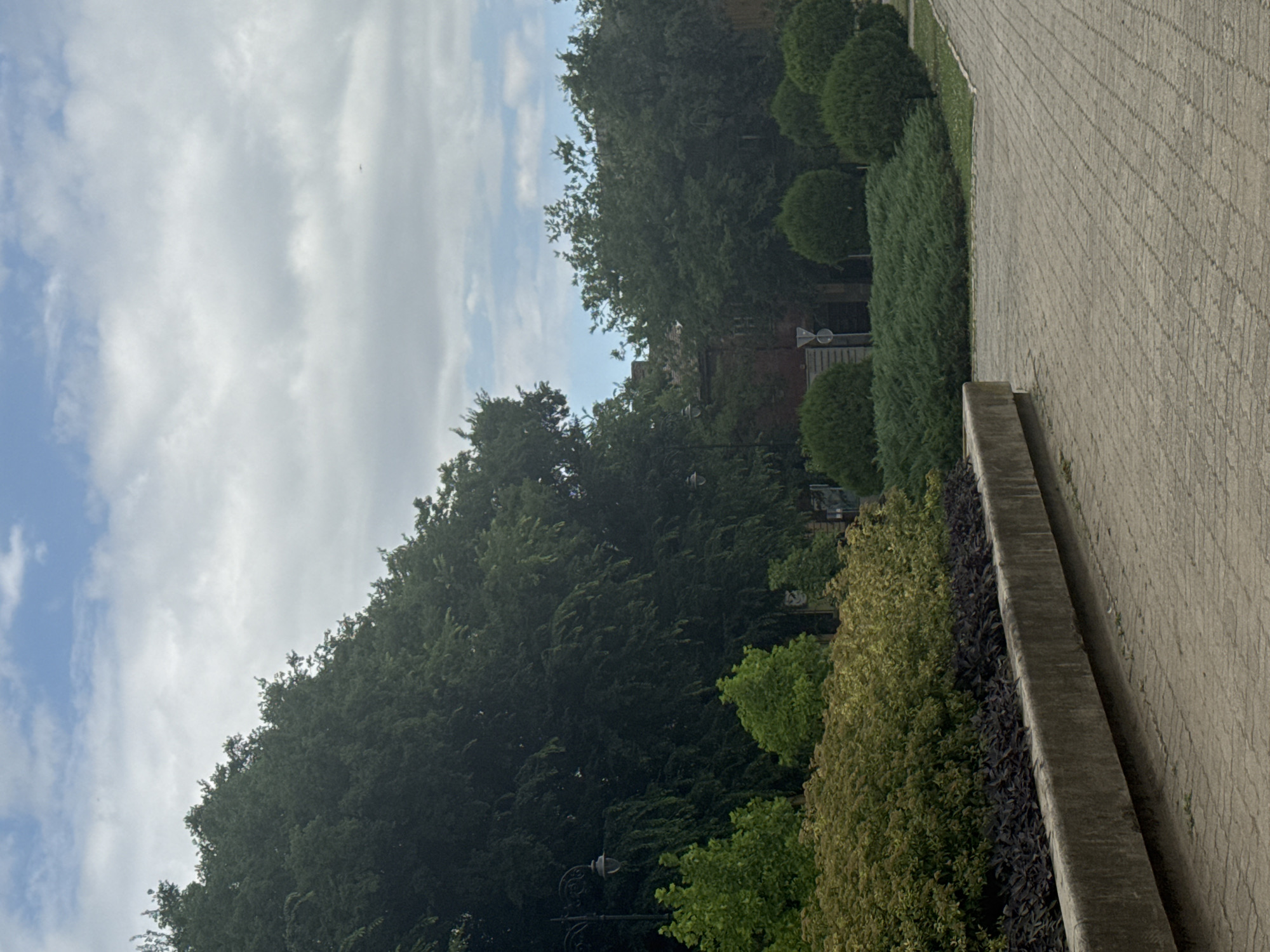 A paved walkway curves to the right in the foreground, bordered by a concrete planter filled with dark purple foliage and then a row of light green, bushy plants. Beyond the planter, a dense line of mature trees with dark green foliage forms a wall on the left, with a single lamppost visible among them. To the right of the trees, more trees and some buildings are partially visible. The sky above is partly cloudy with patches of blue. The scene appears to be in a public park or garden area within the city of Subotica, Serbia, possibly near the "Park Palić" or a similar green space. There are no people or animals present.