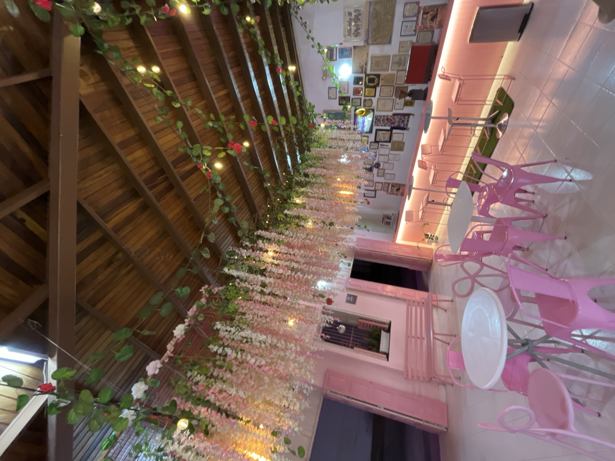 The image depicts the interior of a pink-themed cafe in Mérida, Venezuela. The cafe features a whimsical and floral decor, with numerous strings of pink and white artificial flowers cascading from the wooden ceiling. Green vines with red artificial roses are also draped across the ceiling. The walls are adorned with a large collection of framed pictures, certificates, and maps.
In the foreground, several white circular tables are surrounded by bright pink metal chairs. Further into the cafe, a pink bar counter is visible, with high pink stools placed in front of it. The floor is tiled in white. The lighting appears to be a mix of overhead fluorescent lights and string lights woven through the floral decorations, creating a warm, ambient glow. The overall impression is a charming and somewhat kitschy establishment designed for a visually appealing dining experience.
