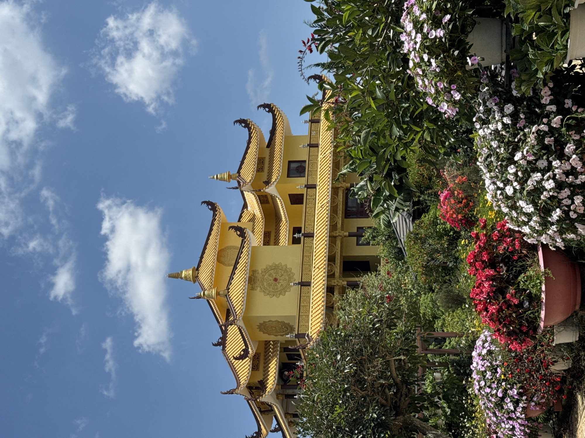 This image depicts the Truc Lam Zen Monastery in Da Lat, Vietnam. The monastery is a prominent Buddhist site, characterized by its vibrant yellow architecture with tiered, curved roofs adorned with gold trim. Several ornamental stupas rise from the rooftops. The building is partially obscured by lush green foliage and a variety of colorful flowers, including pink, red, and white blooms, planted in large pots in the foreground. The sky above is a clear blue with scattered white clouds. There are no people visible in the frame. The scene conveys a sense of serene beauty and tranquility, characteristic of a religious and botanical garden setting.