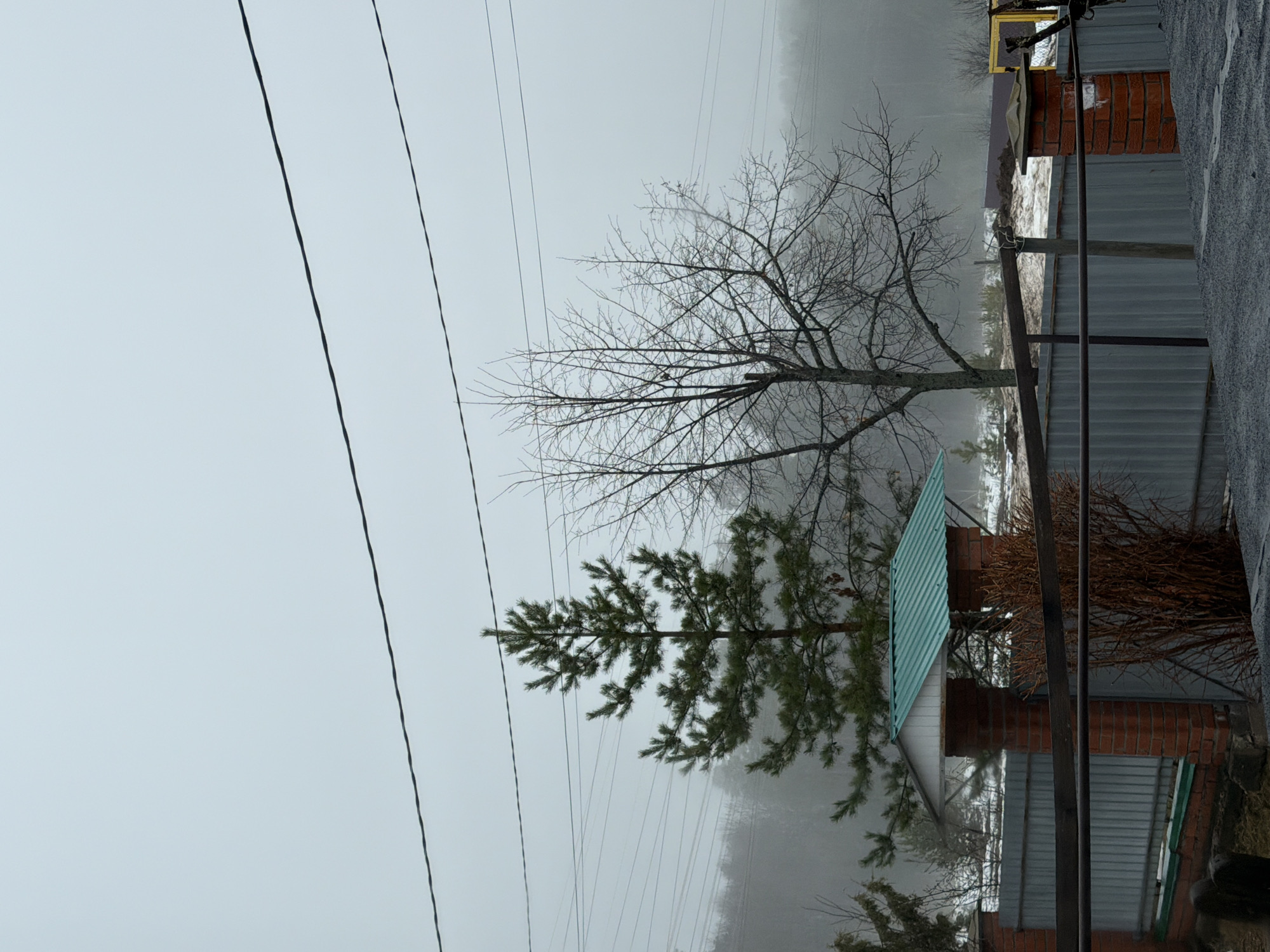 The image shows a landscape in what appears to be the city of Chaikovsky, Russia. The sky is overcast and a heavy fog obscures the background, suggesting a cold or damp climate. High-voltage power lines run across the upper portion of the frame. A deciduous tree with bare branches stands in the center of the frame. Beside it is a pine tree.
In the background are partially visible buildings with brick walls. There is a gray metal fence, and snow is on the ground. The image is taken from a low angle, and the orientation is rotated.
