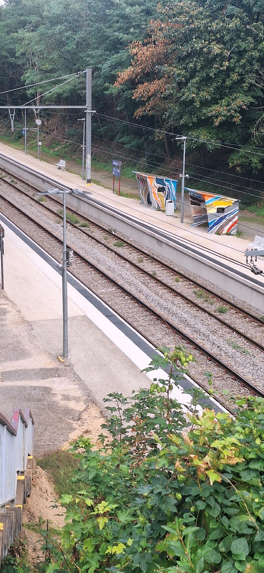 The image shows a train station with multiple tracks, a platform, and a backdrop of trees. The platform features two colorful, abstract shelters and a trash receptacle. Overhead power lines are visible, along with signal posts and streetlights. In the foreground, lush green foliage with some autumnal browning is present. The location is identified as Ixelles - Elsene, Belgium. No people are visible in the scene.