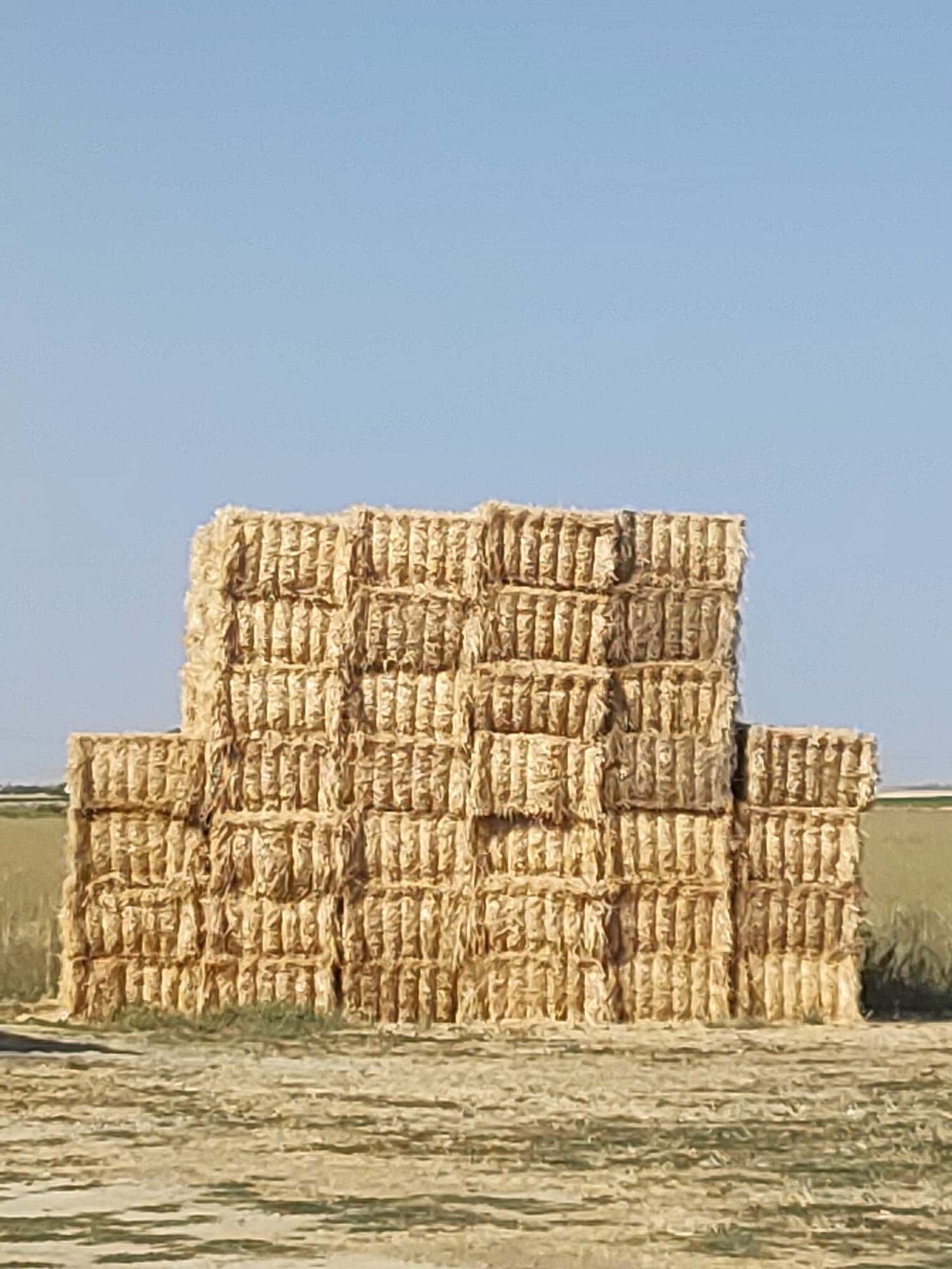 In Autillo de Campos, Spain, a large stack of hay bales stands in a field under a clear blue sky. The hay bales are rectangular and tightly packed, forming a wall-like structure. The foreground consists of dry, textured ground, likely a harvested field, with some sparse green vegetation at the base of the hay stacks. In the background, a hazy green field stretches towards the horizon. The lighting suggests it is a bright, sunny day. There are no people or animals visible in the image.