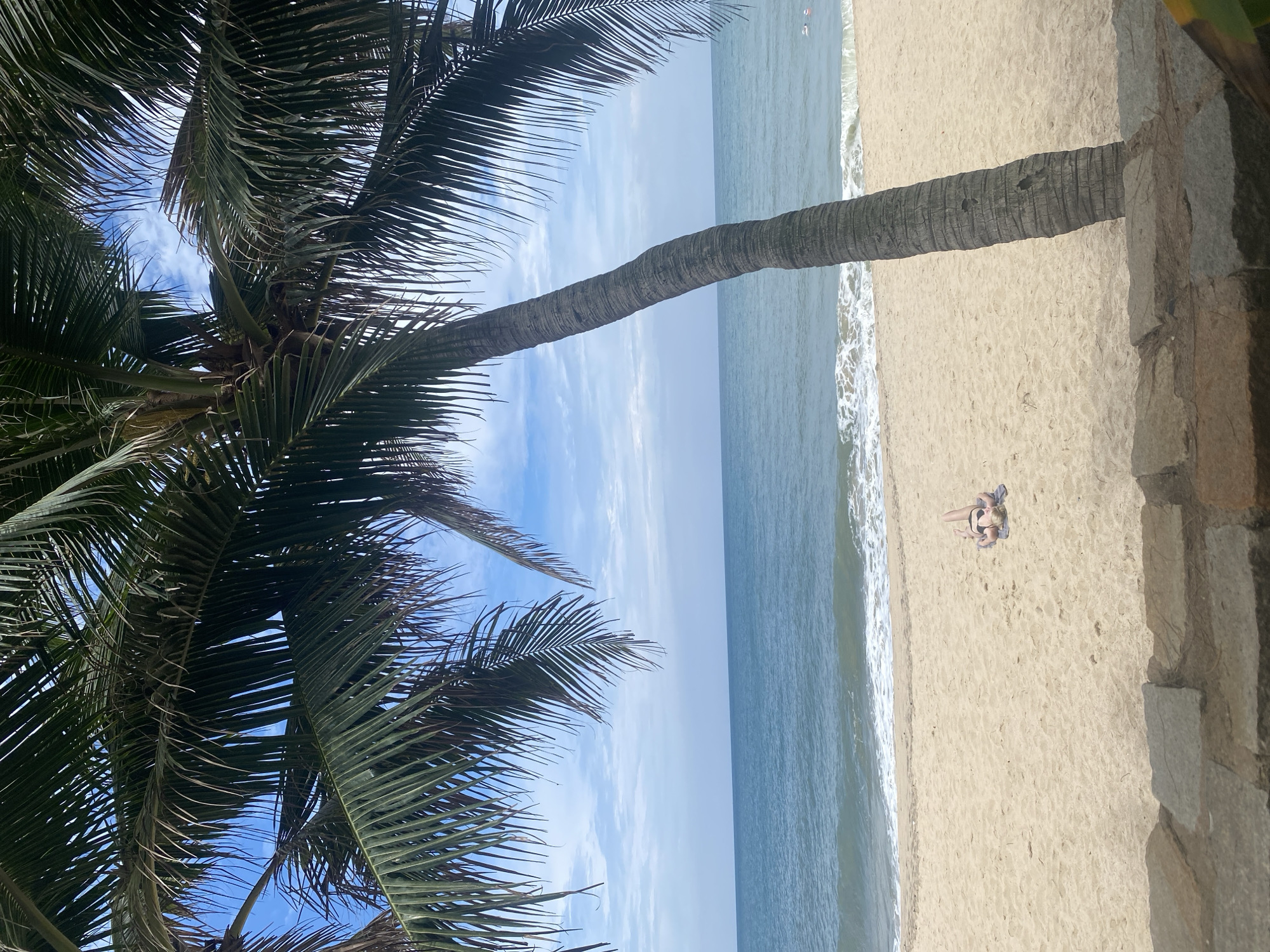 The image captures a vibrant tropical beach scene, viewed from a slightly elevated vantage point and partially framed by the lush foliage of a palm tree. In the foreground on the left, abundant green palm fronds extend into the frame, providing glimpses of a bright blue sky dotted with scattered white clouds. A prominent palm tree trunk extends vertically through the mid-ground, acting as a visual divider between the sky and ocean on one side, and the sandy beach on the other.
On the golden-brown sandy beach, one person is visible lying on their back, seemingly sunbathing on a light-colored towel or mat, positioned close to the water's edge. Further out in the calm, blue-green ocean, two smaller figures can be discerned, engaged in swimming or floating activities. Gentle white waves break softly along the shoreline. To the far right of the frame, a textured stone or concrete wall/structure runs vertically, partially obscuring a view into the far right.
The scene conveys a peaceful and relaxing daytime atmosphere under a clear, sunny sky, indicative of ideal beach weather. The presence of palm trees, a sandy shore, and the ocean strongly suggest a tropical coastal setting, specifically a beach in Phu Thuy Ward, Vietnam. There is no visible text in the image.