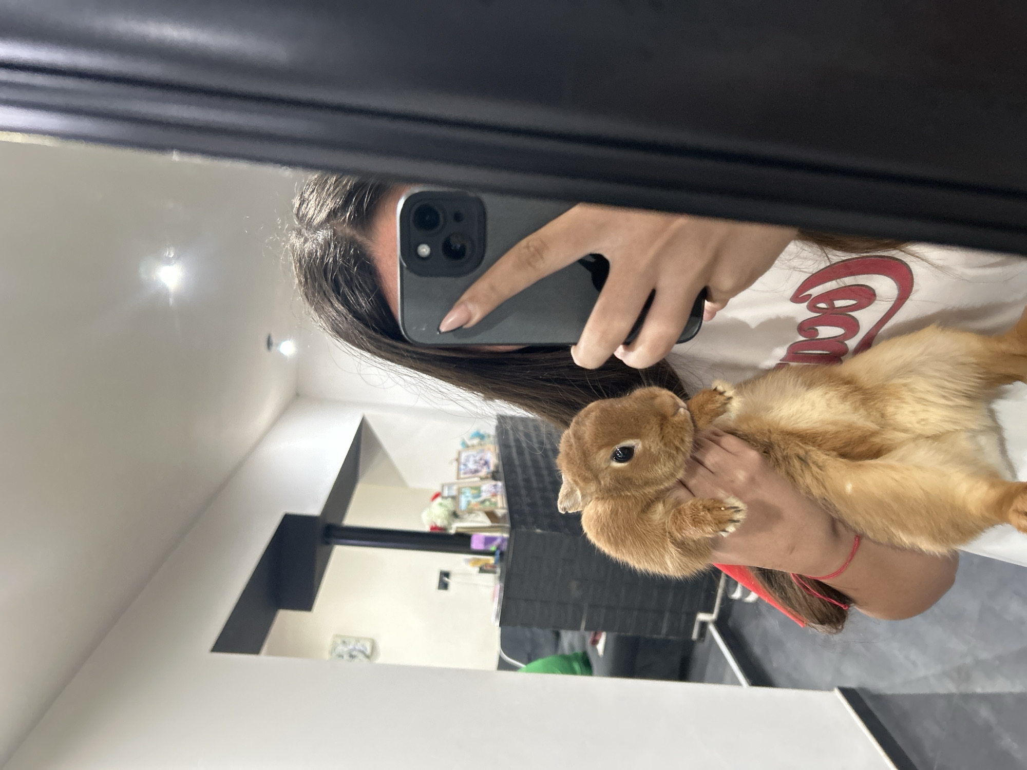A mirror selfie captures a person holding a small, fluffy golden-brown rabbit. The image is taken indoors, reflecting a well-lit room with white walls and dark fixtures or furniture.
The primary subject is an individual whose face is largely obscured by the smartphone they are using to take the picture. Visible features include their dark hair, a hand with light-colored nail polish holding the phone, and a red string bracelet on their wrist. They are wearing a white t-shirt with a red logo on the chest, partially revealing the text "COCA" (suggesting "Coca-Cola").
In their other hand, the person cradles a small, adorable rabbit with soft, golden-brown fur and prominent dark eyes. The rabbit appears calm and comfortable in the person's grasp.
The background reflected in the mirror shows a clean, modern interior space. On a dark surface in the reflection, several framed pictures or decorative items are visible. The lighting is bright and even, indicative of indoor artificial lighting. The overall scene conveys a moment of casual interaction with a pet.