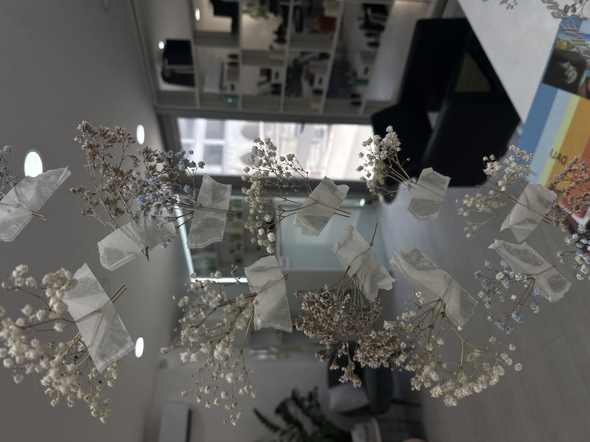 The image is a close-up, shallow depth of field shot of dried baby's breath flowers taped to a glass surface. The flowers are white and some have light blue hues, with delicate branches and tiny blooms. Pieces of clear tape are used to attach the stems to the glass. The background is blurred, showing an interior space with furniture, shelves filled with bottles and objects, and a window with an exterior view of buildings and an archway. The scene is likely indoors, possibly in a salon or shop, given the shelves stocked with various items. No people are visible in the image. The overall impression is one of delicate, ephemeral decoration. The location of Budva, Montenegro is not discernible from the visual elements in the image.