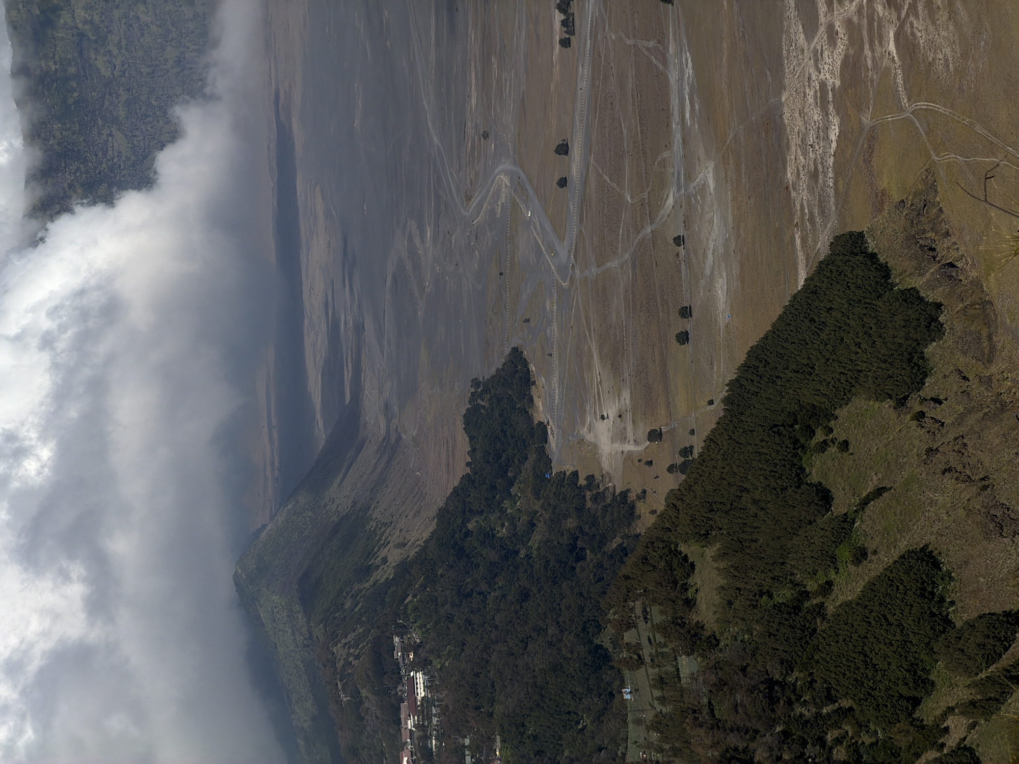 This is an aerial view of the landscape surrounding Cemorolawang, Indonesia. A steep, densely forested slope dominates the left side of the frame, with a small settlement of white buildings visible at the top of the slope. The trees are dark green and appear to be coniferous.
The right side of the image shows a vast, arid plain, likely a caldera floor, characterized by light brown soil and sparse vegetation. Several dirt tracks and a paved road wind through the plain, suggesting human activity. A low fence runs along the edge of the paved road for a significant distance. Isolated trees and small clusters of them are scattered across the plain. In the distance, hazy mountains are visible, partially obscured by thick, low-hanging clouds, which also create shadowed areas on the landscape. The lighting suggests it is daytime, with the sun likely diffused by the cloud cover. There are no visible people in the image.