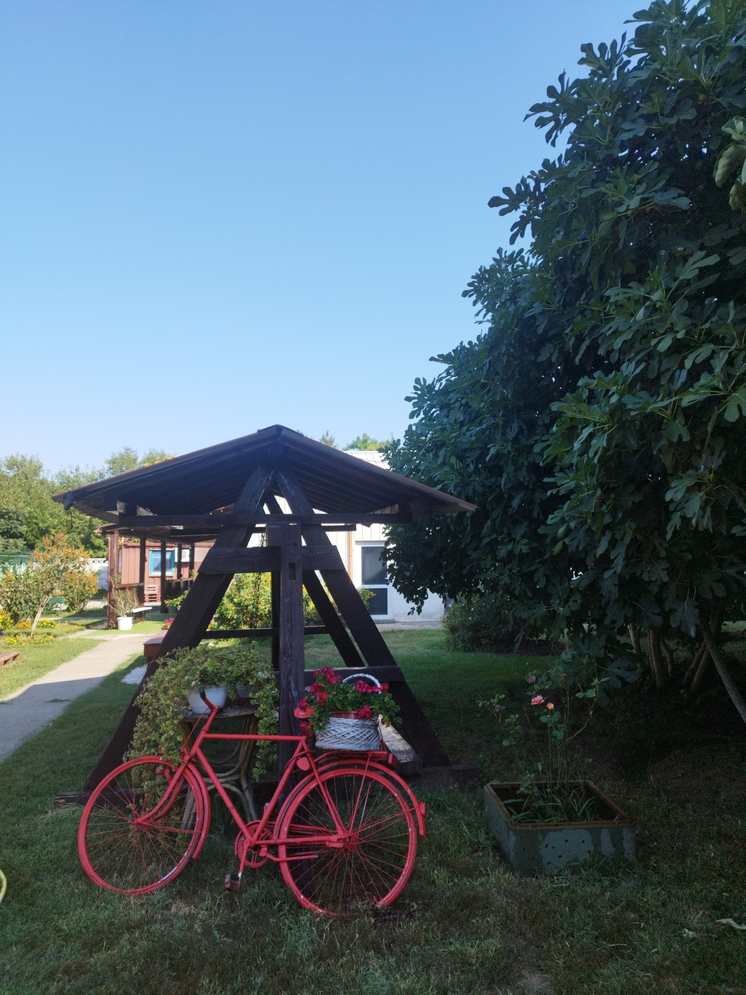 The image depicts an outdoor scene at what appears to be a park or garden area, possibly in Bucharest, Romania, given the context provided. In the foreground, a bright red vintage bicycle is placed on a grassy lawn, leaning against a rustic wooden structure that resembles a gazebo or arbor. The bicycle is adorned with a basket of red flowers and some greenery. The wooden structure is dark brown and has a triangular, open design, with a sloped roof. Behind the wooden structure, a large, leafy green tree with dark green foliage dominates the right side of the image. The sky above is a clear, bright blue, indicating a sunny day. To the left, a paved path leads into the background, where more greenery and what looks like small buildings or sheds can be seen. The overall impression is one of a tranquil, decorated outdoor space. There are no people visible in the image.
