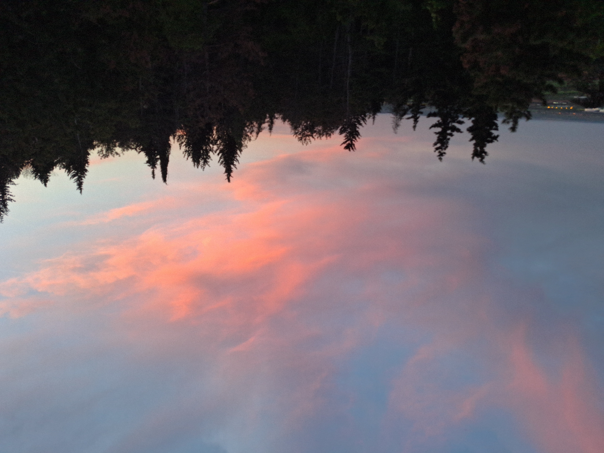 The image depicts a sunset view from a location near a forest. The sky is filled with clouds colored in shades of pink and blue. The silhouette of a line of trees is visible at the top of the frame. In the distance, a faint line of lights suggests a city or town across a body of water. The image is rotated, making the trees appear to be hanging from the top. The location is in Unknown, Unknown.