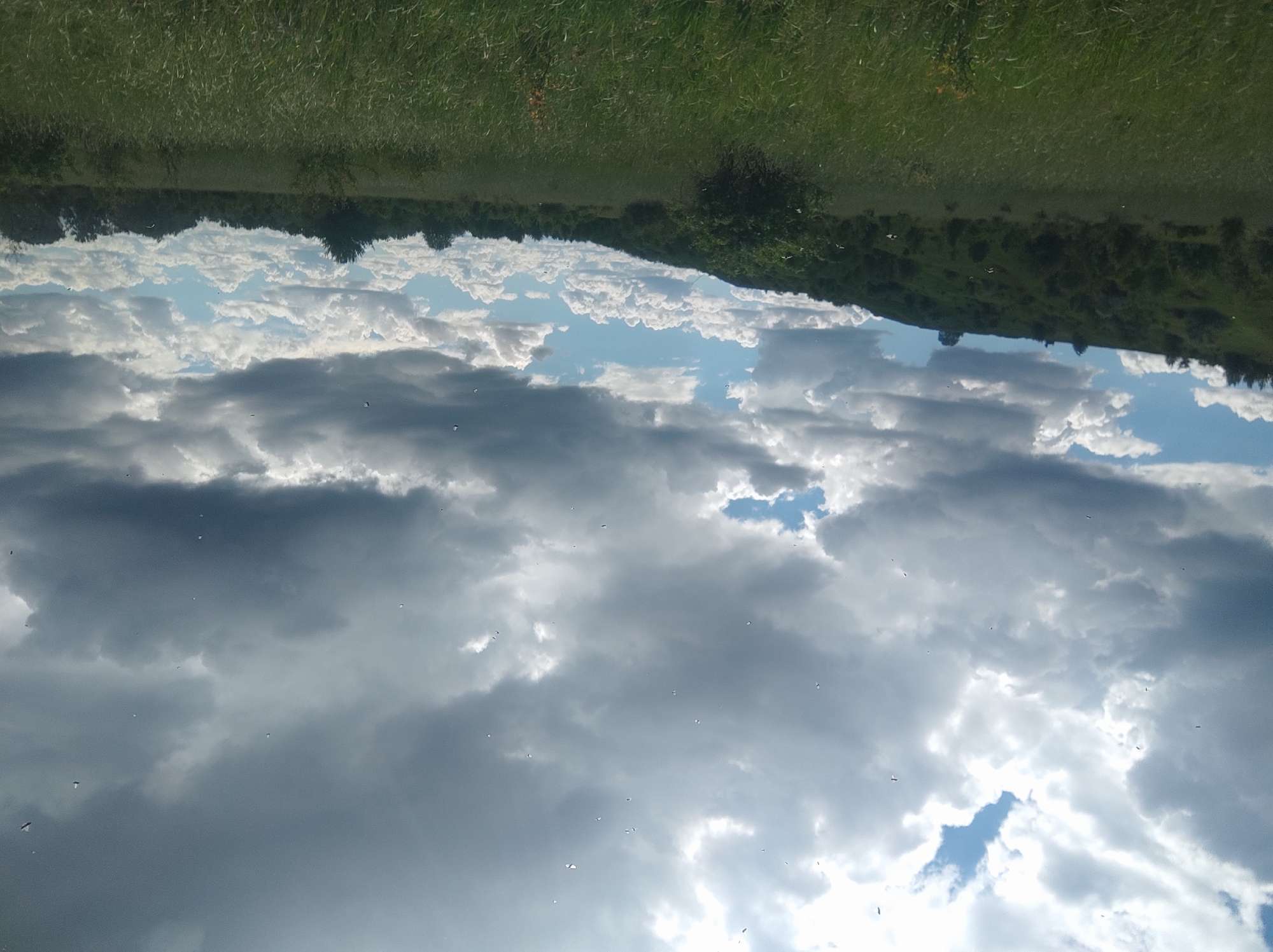 The image shows a landscape oriented with the sky dominating the lower portion. The sky is filled with various shades of gray and white clouds, with small patches of blue peeking through. The lower part of the sky is darker with denser cloud cover.
Above the clouds, there is a thin strip of green land with some trees. Above that is a section of grass.
There is no mention of any city or location.