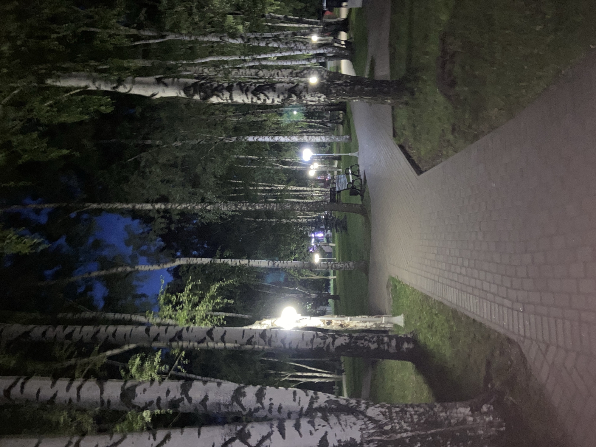The image depicts a park pathway at night in Votkinsk, Russia, illuminated by streetlights and the faint glow of distant lights. The pathway, paved with light-colored bricks, curves through a grove of birch trees with their characteristic dark markings on white bark. Green grass borders the pathway, and shadows are cast by the trees. Several park benches are visible along the path, one of which is occupied by a person. In the background, more trees and illuminated structures are present, suggesting a public park setting. The sky is dark, indicating nighttime.