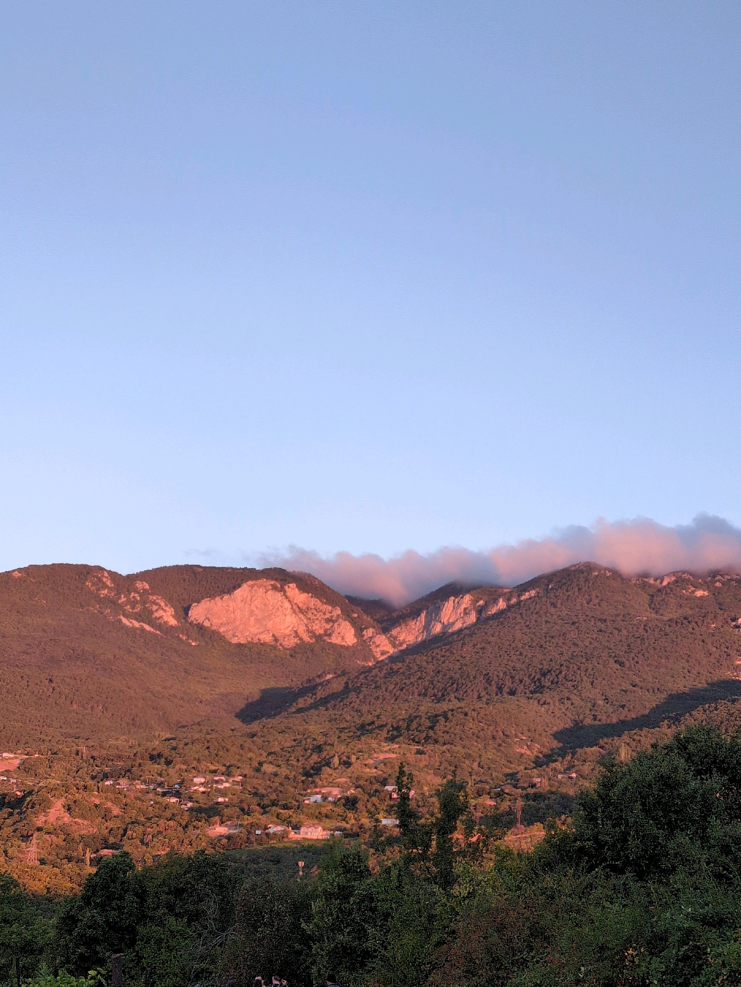 A wide-angle, eye-level shot captures a mountain range bathed in the warm, rosy light of sunset or sunrise. The sky above is a clear, pale blue. The mountains are densely covered with dark green trees, with patches of bare rock exposed on their peaks, which are illuminated in vibrant shades of pink and orange. A thin band of pink-tinged clouds hovers over the highest ridge. Below the mountains, a small village nestles in the valley. Buildings with white and light-colored roofs are scattered amongst the trees. In the foreground, the dark green foliage of trees partially obscures the view of the village and the lower slopes of the mountains. Shadows are cast across the landscape, indicating the low angle of the sun. The overall impression is a serene and picturesque natural landscape at dusk or dawn.