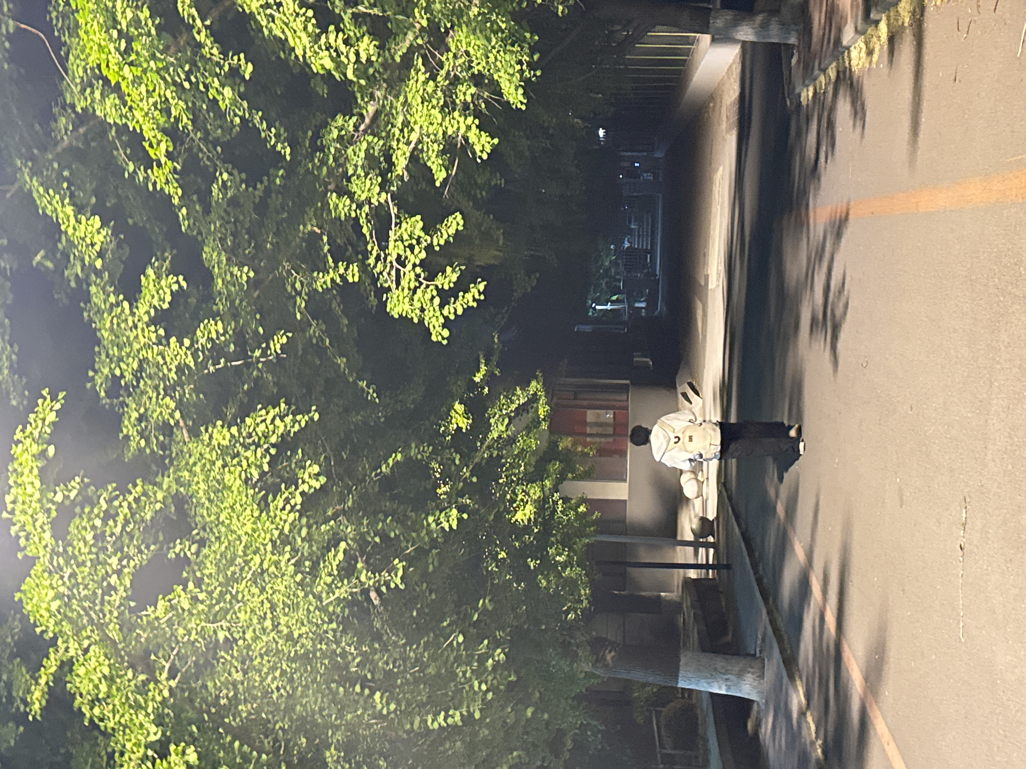 An eye-level, horizontally-oriented, night photograph depicts a pedestrian in Zhongtun, China, walking down a paved street. The street is lined with leafy trees along the left side and a building on the right. The pedestrian, positioned in the middle-right of the frame, is wearing a white shirt and dark pants and has a backpack. A yellow line runs down the center of the right side of the street. Tree shadows are cast on the pavement. The street recedes into a dark area in the background.