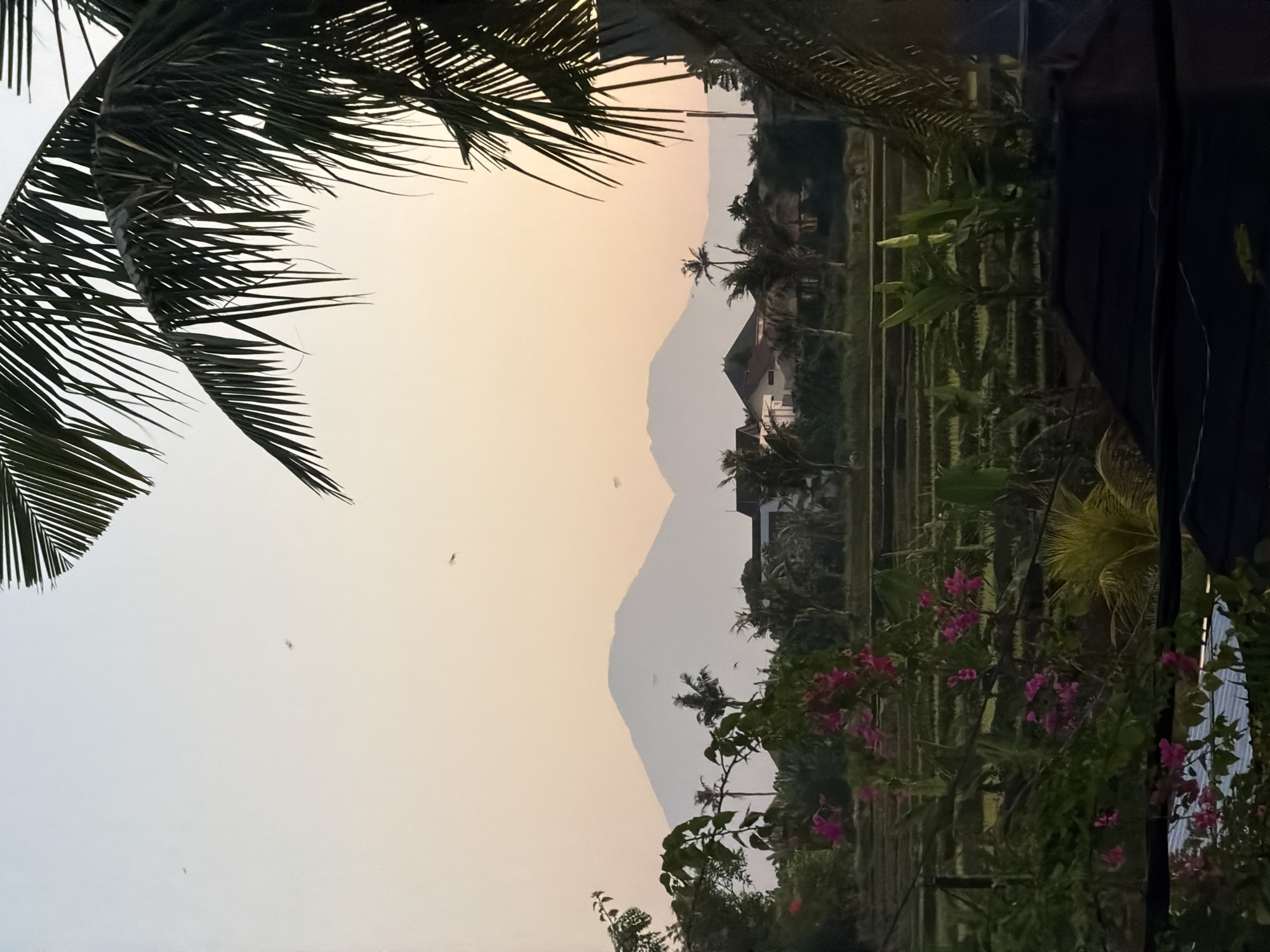 The image depicts an outdoor, panoramic landscape at twilight, likely in North Kuta, Indonesia, characterized by a gradient sky, distant mountains, and foreground vegetation.
The upper portion of the frame features a clear sky, transitioning from a light blue-grey at the zenith to a pale orange-peach hue near the horizon, indicative of either sunrise or sunset. Several small, dark, and blurred specks, consistent with birds or insects in flight, are scattered across the sky.
In the mid-ground, two prominent, hazy mountains are silhouetted against the sky, appearing in shades of light grey and blue. The larger mountain is situated on the left. Below the mountains and extending towards the foreground, scattered residential structures with dark roofs and light-colored walls are visible, interspersed with numerous palm trees and other tropical foliage.
The central and lower portions of the image are dominated by a lush, green agricultural landscape. Terraced rice fields, segmented and containing young, green crops, occupy a significant area. Various tropical plants, including broad-leafed species, are scattered throughout these fields.
The immediate foreground features dense vegetation. On the left, a vibrant bougainvillea plant with multiple clusters of pink blossoms is prominent, intertwined with dark green foliage. On the right, the large, dark fronds of a palm tree extend diagonally into the frame, partially silhouetted against the sky. A dark, angular structure, possibly a rooftop, is visible in the bottom center and right sections of the frame. No human figures are discernible in the scene.