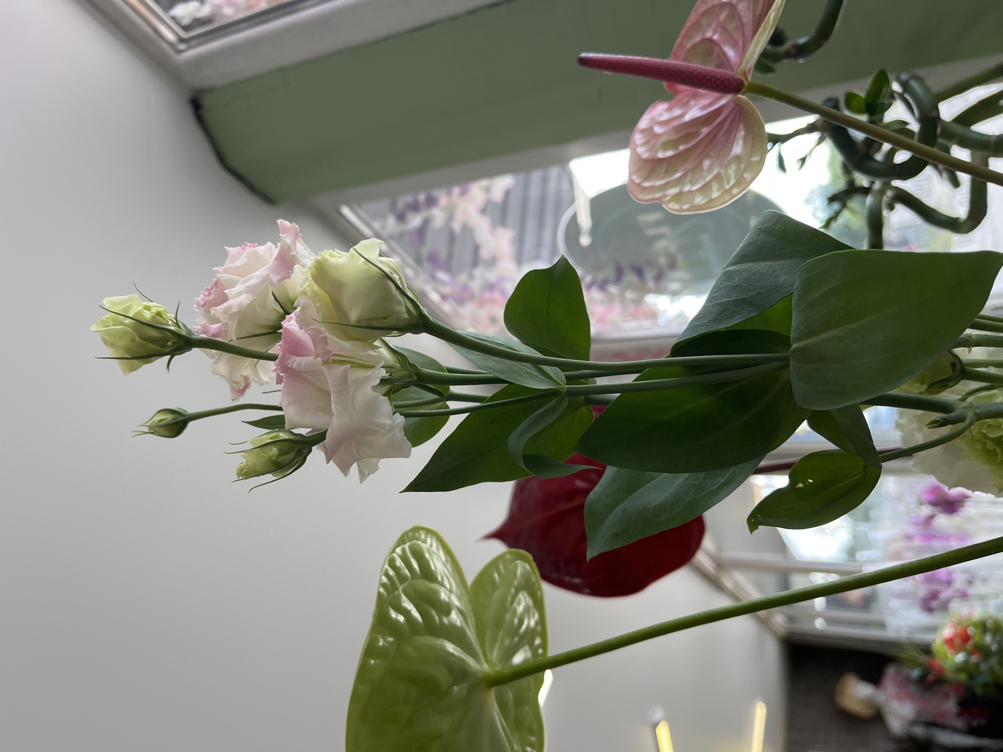 A close-up, low-angle shot features a floral arrangement dominated by a stalk of light pink and white lisianthus flowers in the center. To the left, a large, glossy green anthurium leaf is prominent. Partially visible behind the lisianthus is a deep red anthurium flower. To the right and slightly further back, a pale pink anthurium with a pink spadix is visible, along with a twisted green stalk. The background is a softly blurred interior with a light-colored wall, a window with sheer curtains depicting a floral pattern, and hints of other plants and a blurred mannequin wearing a floral top. The lighting is bright and diffused, suggesting an indoor environment like a flower shop or conservatory.