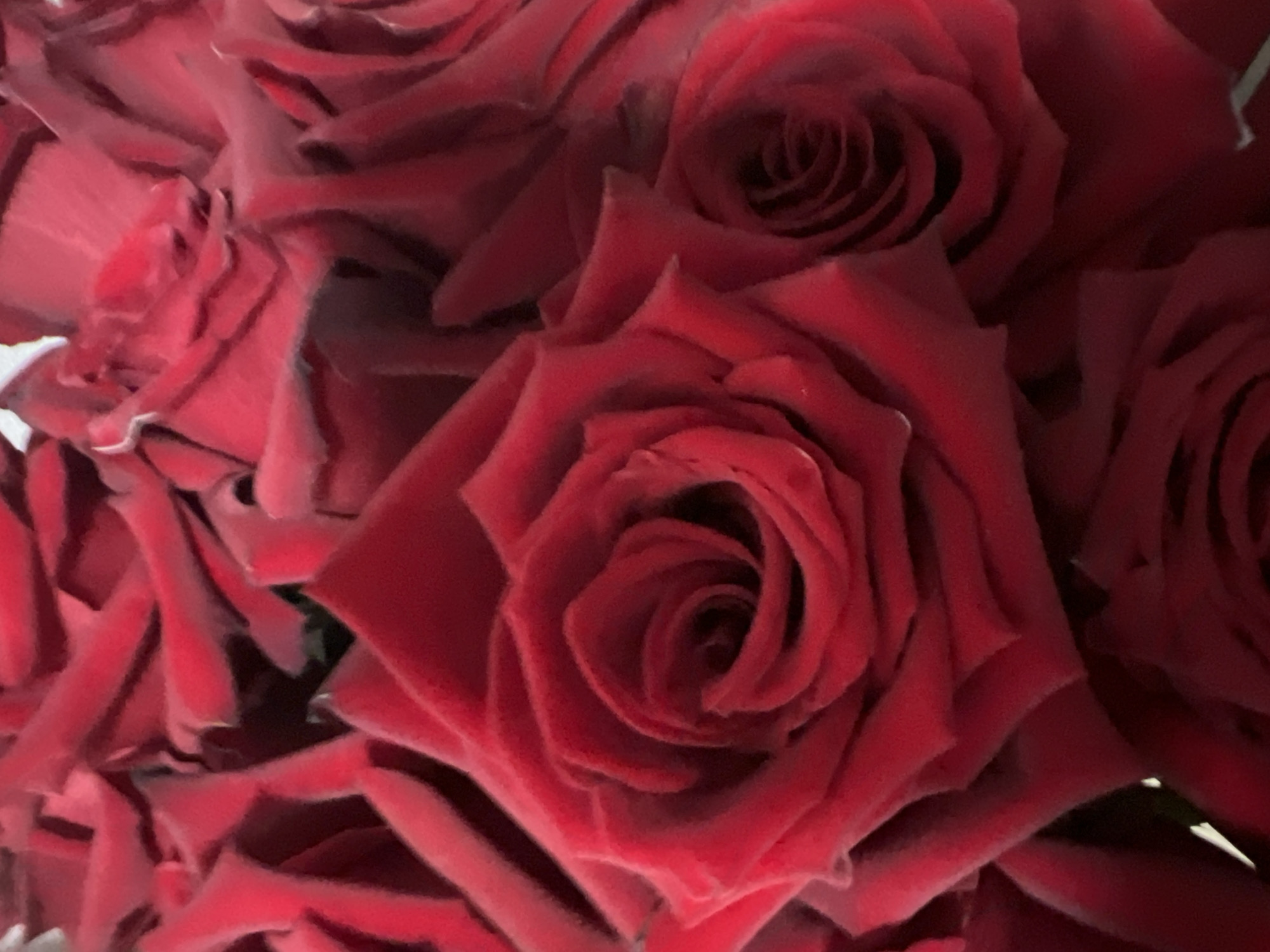 The image is a close-up, overhead shot of a large bouquet of red roses. The roses are tightly packed, with their petals overlapping and creating a rich, velvety texture. The lighting is soft, highlighting the deep crimson hues of the petals and creating subtle shadows that emphasize the depth and form of the flowers. The background is dark and indistinct, drawing all attention to the vibrant roses. There is no discernible location in Yekaterinburg, Russia, as the image focuses solely on the floral arrangement.