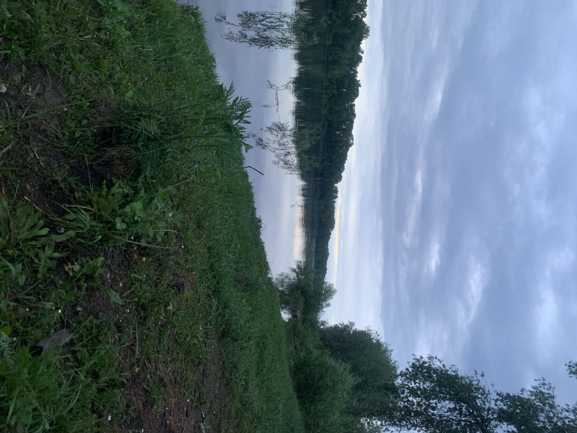 The image presents a waterscape scene. In the foreground, there is a grassy bank that slopes down toward the water. The water itself reflects the sky and trees from the opposite shore. Beyond the water is a treeline. The sky is overcast with clouds. The image appears to be taken at dusk or dawn, judging by the lighting conditions. The location is the city of Chaikovsky, Russia, but there are no landmarks visible to confirm this.