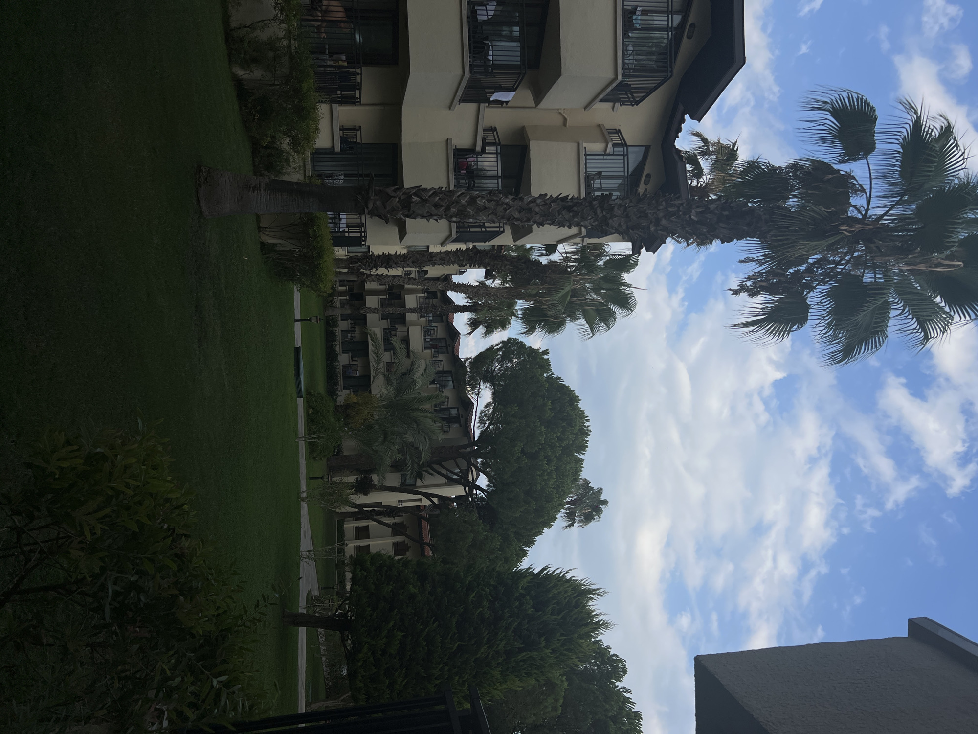 The image depicts a resort-like environment in Serik, Turkey, likely a hotel complex. In the foreground, a lush green lawn stretches out, with a prominent, thick-trunked palm tree positioned slightly off-center to the left. Beyond the lawn, there is a cream-colored, multi-story building with balconies. Several other palm trees and various evergreen trees are scattered throughout the scene, adding to the tropical or Mediterranean atmosphere. The sky above is a mix of blue with scattered white clouds. The overall impression is one of a well-maintained outdoor space within a resort, possibly during the daytime given the lighting. There are no visible people or specific actions taking place.