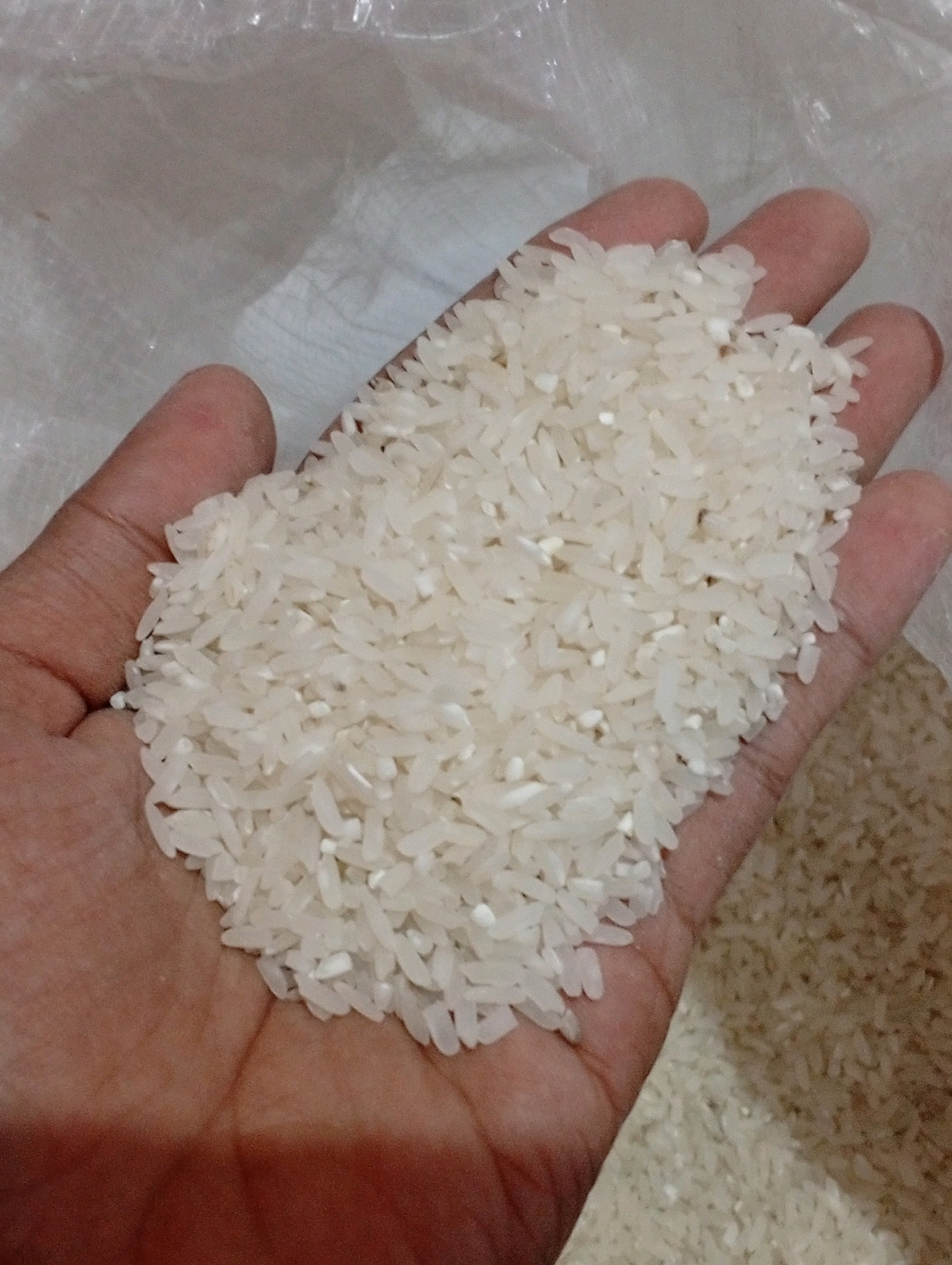 A hand is holding a pile of uncooked white rice. The hand appears to be that of a person with medium-toned skin, and the rice is piled in the palm and slightly over the fingers. The rice grains are small and oval-shaped, with some appearing slightly broken. In the background, out of focus, is more rice, some in a translucent plastic bag and some spread out. The lighting suggests an indoor setting. There is no indication of the location being Tasikmalaya, Indonesia or any specific city.