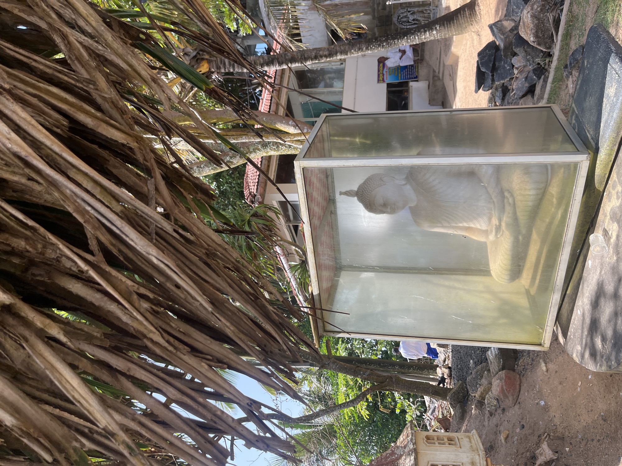 In Walgama, Sri Lanka, a Buddha statue is displayed in a glass enclosure on a sunny day. The statue is seated in a meditative pose and appears to be made of a light-colored stone. The enclosure is rectangular and made of glass panels with a metal frame. The Buddha statue is situated outdoors, with palm trees and lush greenery visible in the background. A building with a red-tiled roof is also visible in the distance. In the foreground, dried palm leaves form a canopy, casting shadows on the scene. Several rocks and a small decorative structure resembling a house are scattered around the enclosure. A person in a white shirt and blue shorts is standing in the background, near the building. The ground is covered in sand and pebbles.