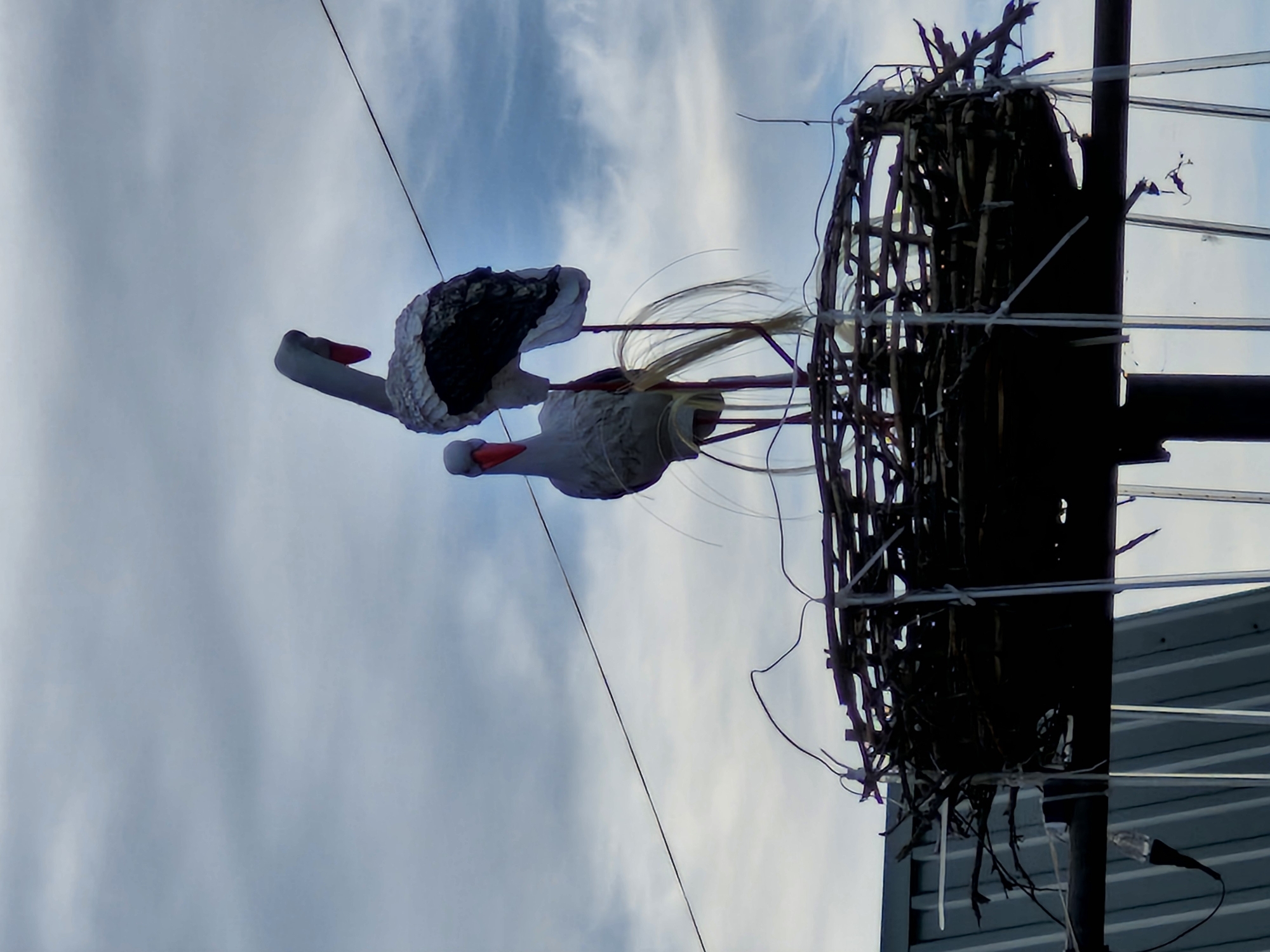 The image shows a man-made nest on a pole, with two artificial storks, one standing and one partially obscured by the other, perched within it. The nest is constructed from branches and is situated outdoors, with a cloudy sky as the background. In the lower left of the image, a corrugated metal roof of a building is visible. The scene is located in Buzdyak, Russia.