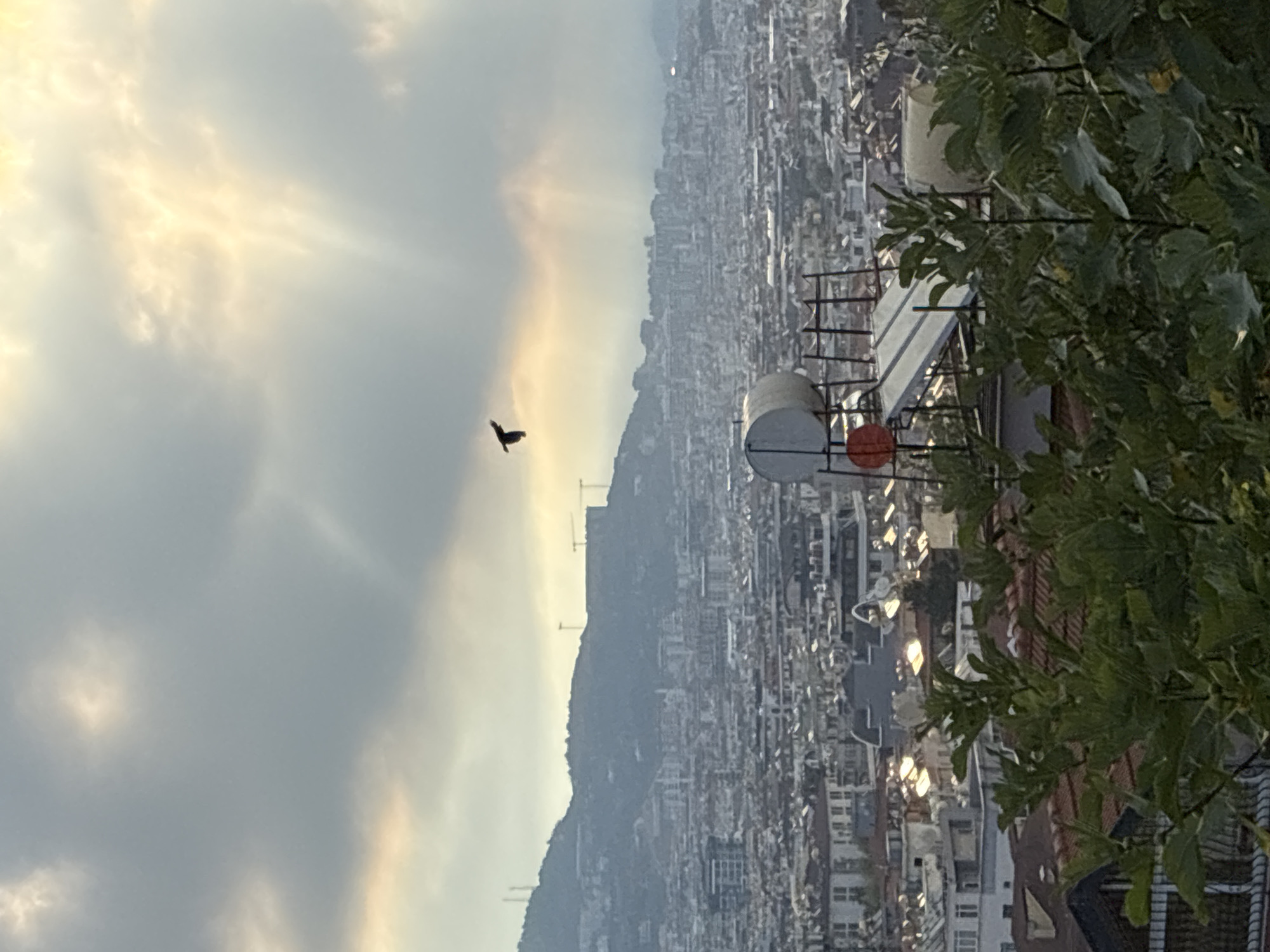 A distant aerial view captures a bird in flight against a cloudy sky with sunbeams breaking through. The foreground is dominated by lush green foliage. Below, a dense cityscape unfolds, featuring numerous buildings with red-tiled roofs. In the middle ground, a solar water heater system with a cylindrical tank and a solar panel is visible on a rooftop. Further back, a hazy mountain range forms the backdrop to the city. The image appears to be taken from a high vantage point, possibly a hill overlooking Alanya, Turkey.