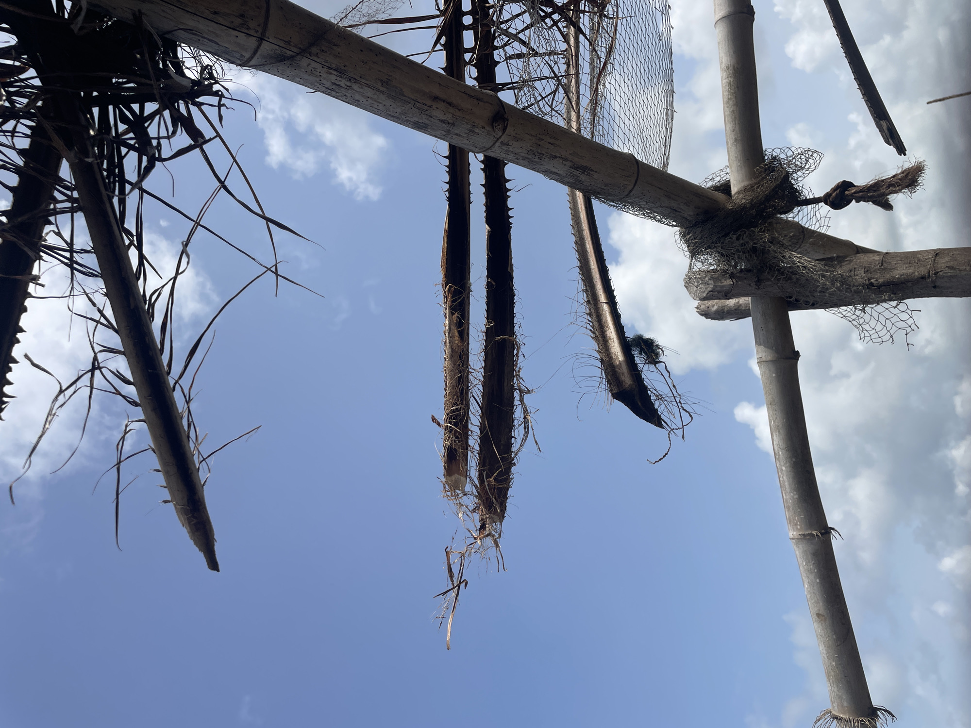 The image shows a low-angle view of a bamboo structure, possibly a dilapidated or unfinished shelter, against a blue sky with scattered clouds. The location is Unknown, Unknown. The structure consists of bamboo poles and beams lashed together with netting or rope. Dried leaves and debris hang from the bamboo, suggesting a lack of maintenance or abandonment. The overall impression is one of decay and neglect. There are no people visible.