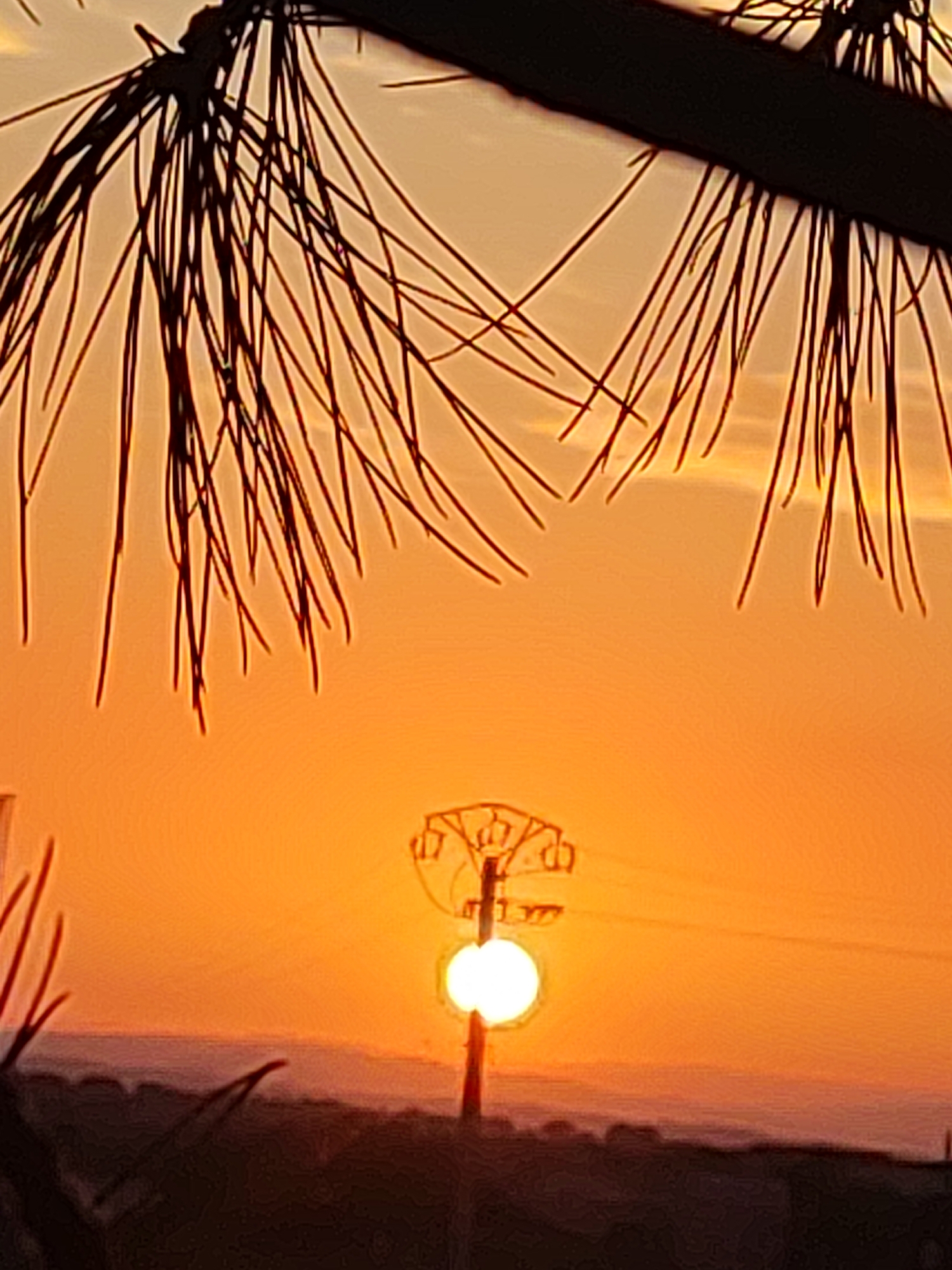 This is a photograph taken at sunset in Sobradillo, Spain, featuring a vibrant orange sky. In the foreground, the dark silhouettes of pine needles are visible, framing the upper part of the image. The middle ground is dominated by a power line tower and its cables. The sun, a bright white orb, is partially obscured by the tower, appearing to be setting behind a distant, dark, hilly landscape. The overall scene conveys a sense of quiet twilight in a rural or semi-rural area.