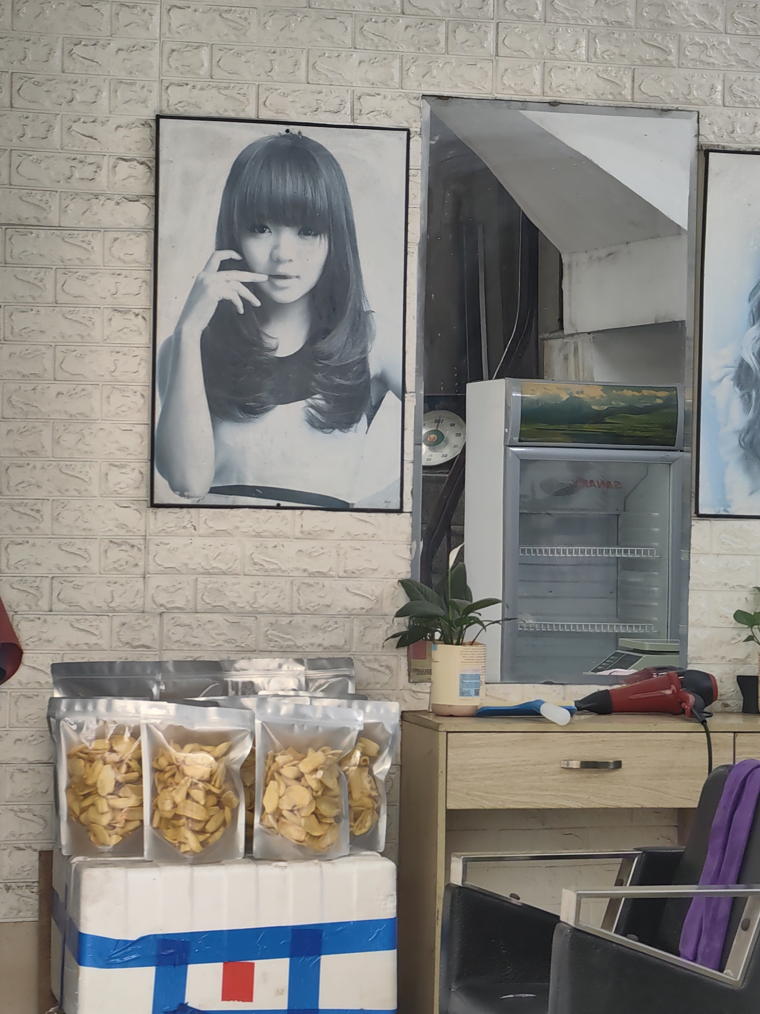 This image captures the interior of what appears to be a small hair salon or beauty parlor in Bai Chay Ward, Vietnam. The main wall is covered in white, textured brick-like tiles.
Prominently featured is a large black and white poster of a young woman with long, layered hair and bangs, posing with her fingers near her mouth. To the right, a mirror reflects part of the room and an adjacent, partially visible poster also likely depicting a hairstyle.
On the left, stacked on a white cooler or box secured with blue and red tape, are several transparent pouches filled with light-yellow, sliced snack items, possibly dried fruit or chips, suggesting the sale of packaged food.
Further right, a small, empty commercial-style refrigerator with a glass door stands beneath a decorative panel or painting of a green, mountainous landscape. Faintly visible text inside the refrigerator door reads "SANYO". Next to the refrigerator is a potted plant.
On a wooden salon station with a single drawer, a red hairdryer, a blue comb, and a white bottle are placed. A black salon chair with a purple towel draped over its back is visible in the lower right corner, ready for a customer. The setting suggests a functional local business. No specific activity is taking place, but the setup implies services are offered and goods are sold. The time of day appears to be daytime.
