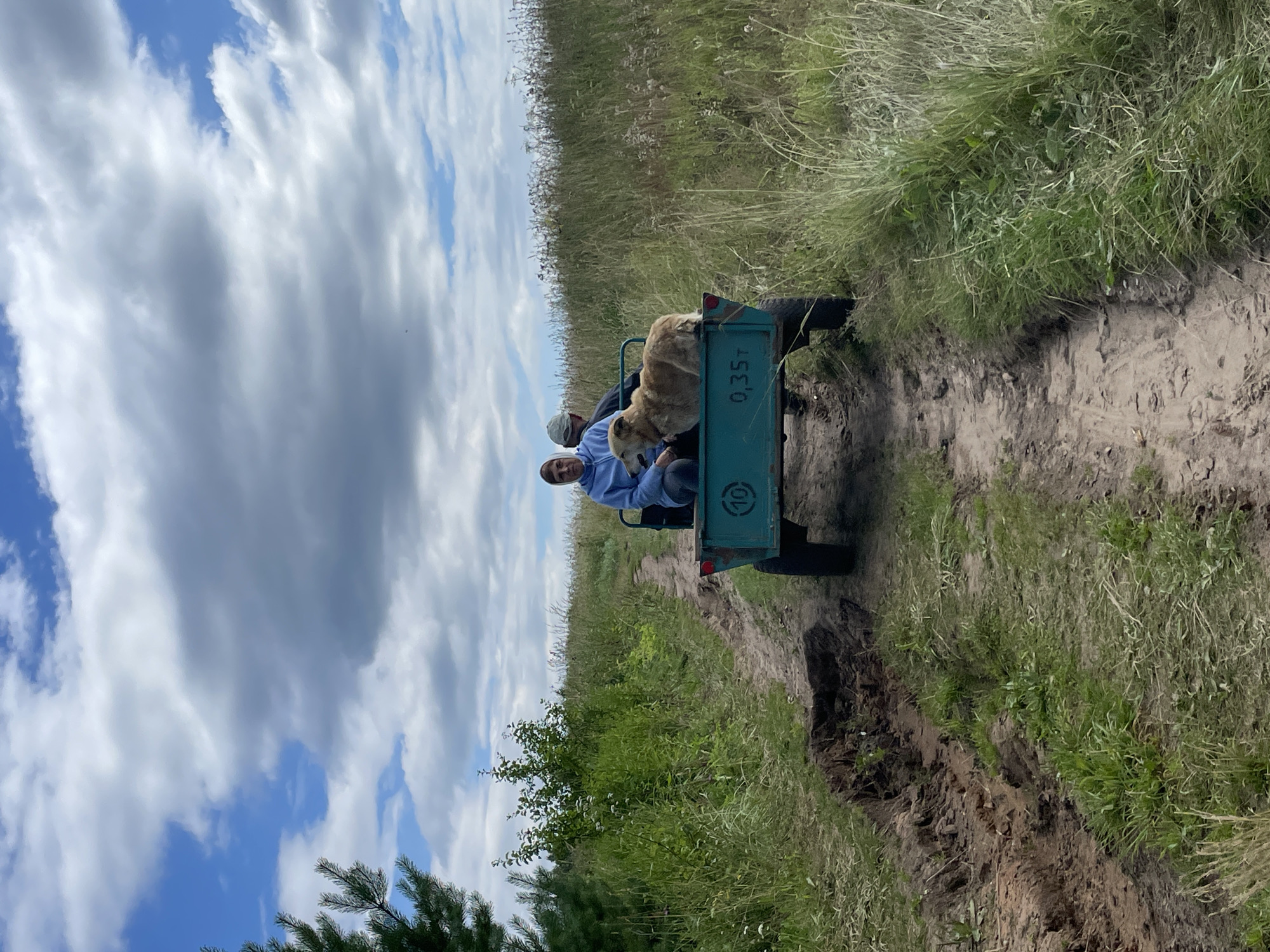 In the rural landscape of Дресвяново, Russia, two individuals are seated in the back of a teal-colored trailer being pulled along a dirt path. The individual in the foreground, on the left, is wearing a blue hoodie and has their hands clasped. Beside them, a medium-sized tan dog is lying down. The second individual, slightly behind and to the right, is wearing a white headscarf and a blue hooded sweatshirt. The trailer itself has a number "10" inside a circle on its side, and also displays "0,35т" indicating its weight capacity. The path is bordered by tall, dry grass on the right and lush green vegetation, including bushes and trees, on the left. A notable feature of the path is a deep rut or hole in the ground on the left side, appearing to be dug out. The sky above is partly cloudy, with distinct patches of blue sky visible through white and gray clouds. A pine tree branch is visible in the upper left corner of the frame, suggesting the location is in or near a wooded area. The overall scene depicts a serene, possibly agricultural, setting.
