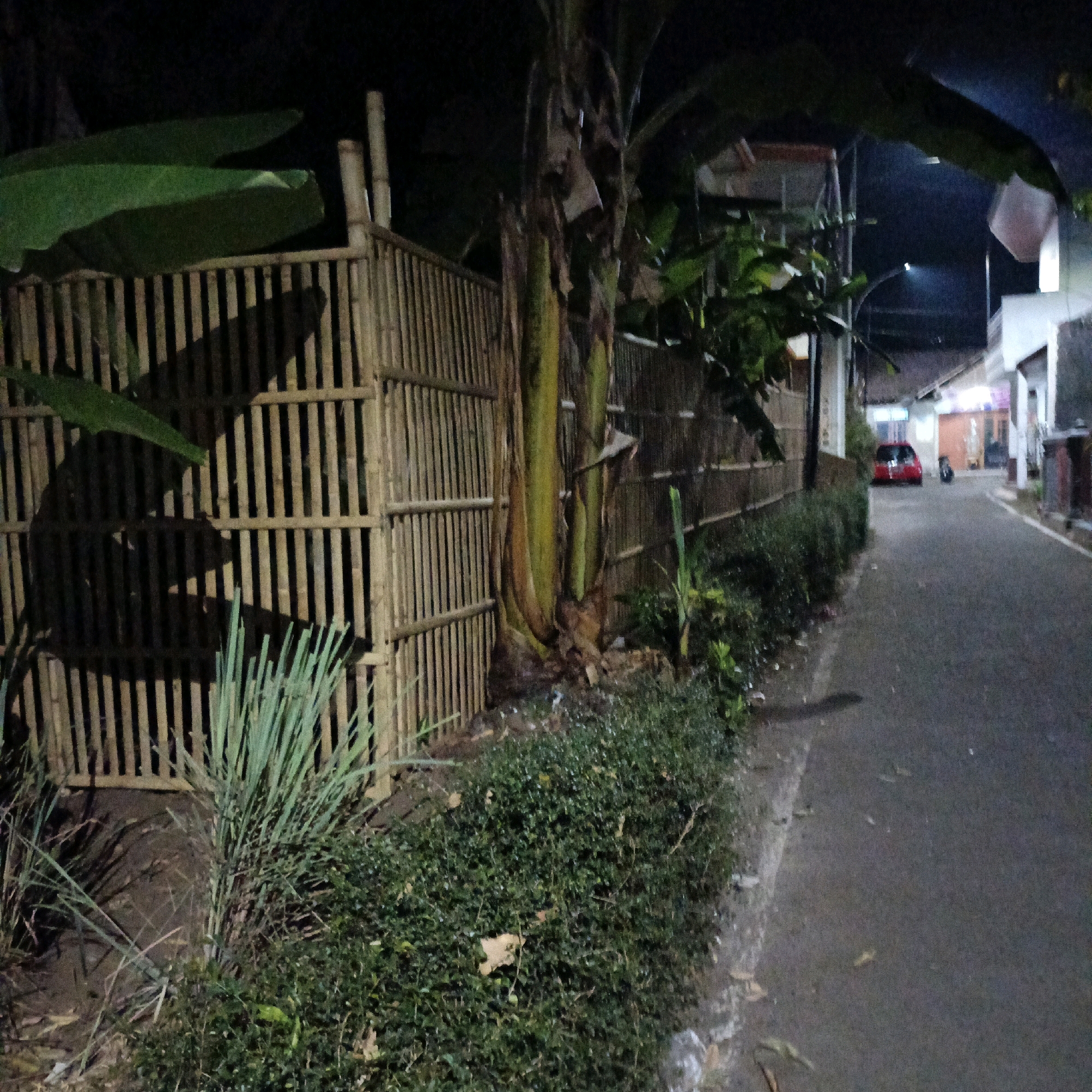The image depicts a nighttime street scene in Salatiga, Indonesia. A bamboo fence runs along the left side of a paved road, bordered by lush green vegetation, including a banana tree and tall grass. A red car is parked on the right side of the road, with houses and buildings visible in the background, some illuminated. The road surface appears wet in places. The lighting suggests artificial streetlights or lights from the buildings.